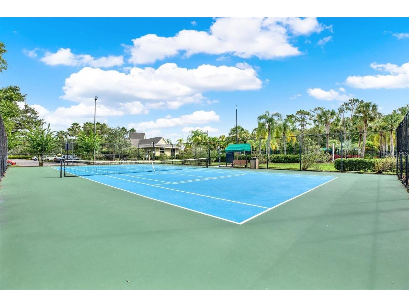 20214 Oak Thorn Way Tampa FL 33647 TB8507846 image55