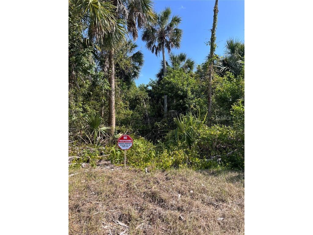 20215 Hillsborough Boulevard Port Charlotte FL 33948 V4943076 image1