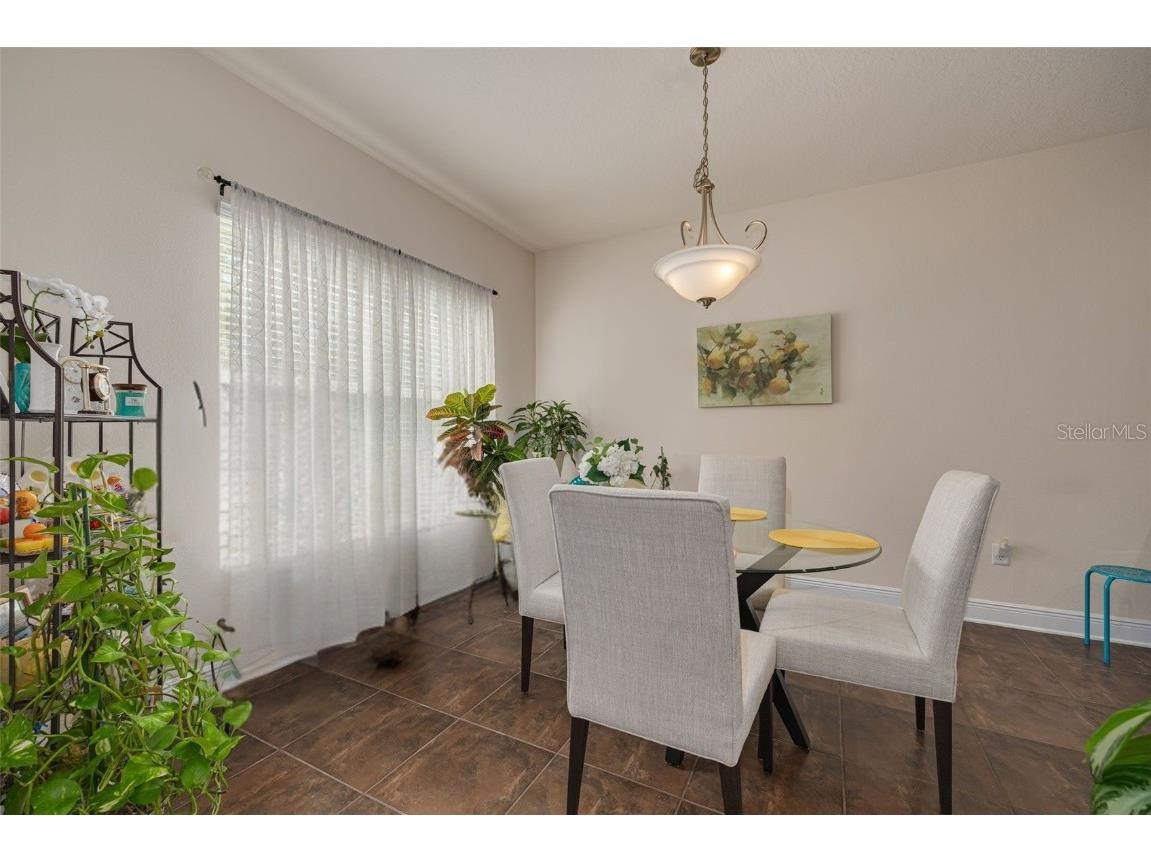 20215 Natures Spirit Drive Tampa FL 33647 TB8403695 image11