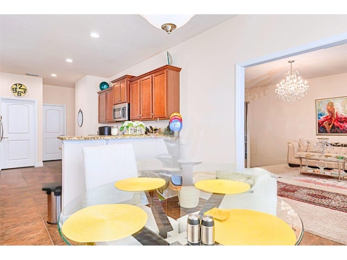 20215 Natures Spirit Drive Tampa FL 33647 TB8403695 image12