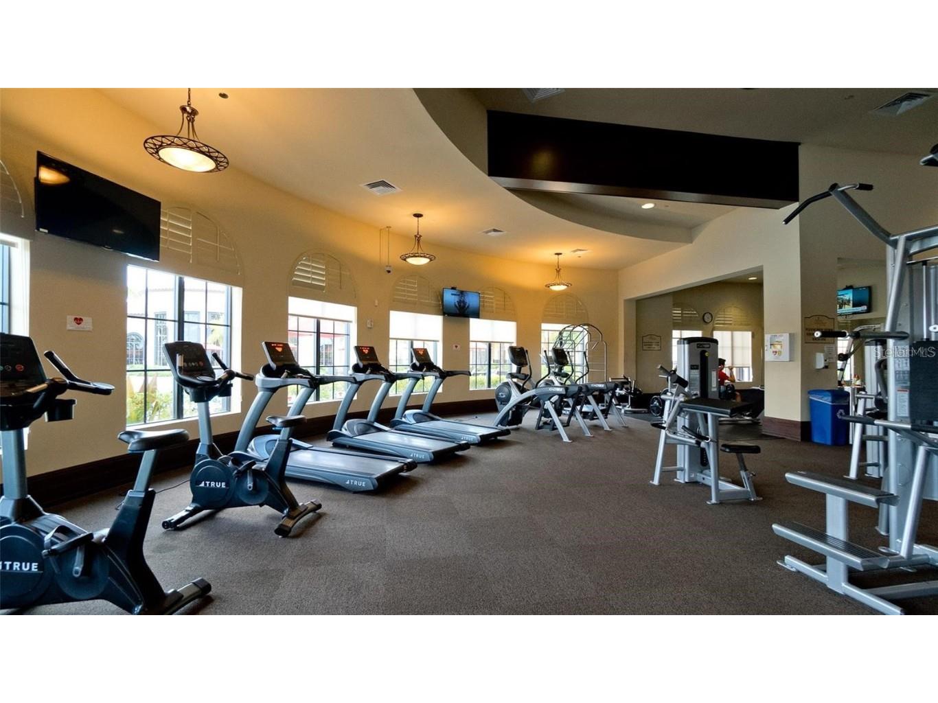 20219 Tesoro Drive Venice FL 34293 N6142187 image79