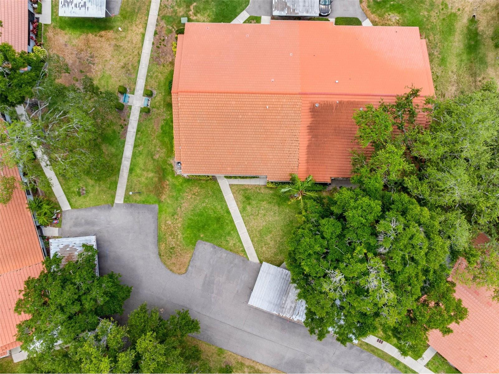 2022 Arbor Lane Clearwater FL 33763 TB8506486 image38