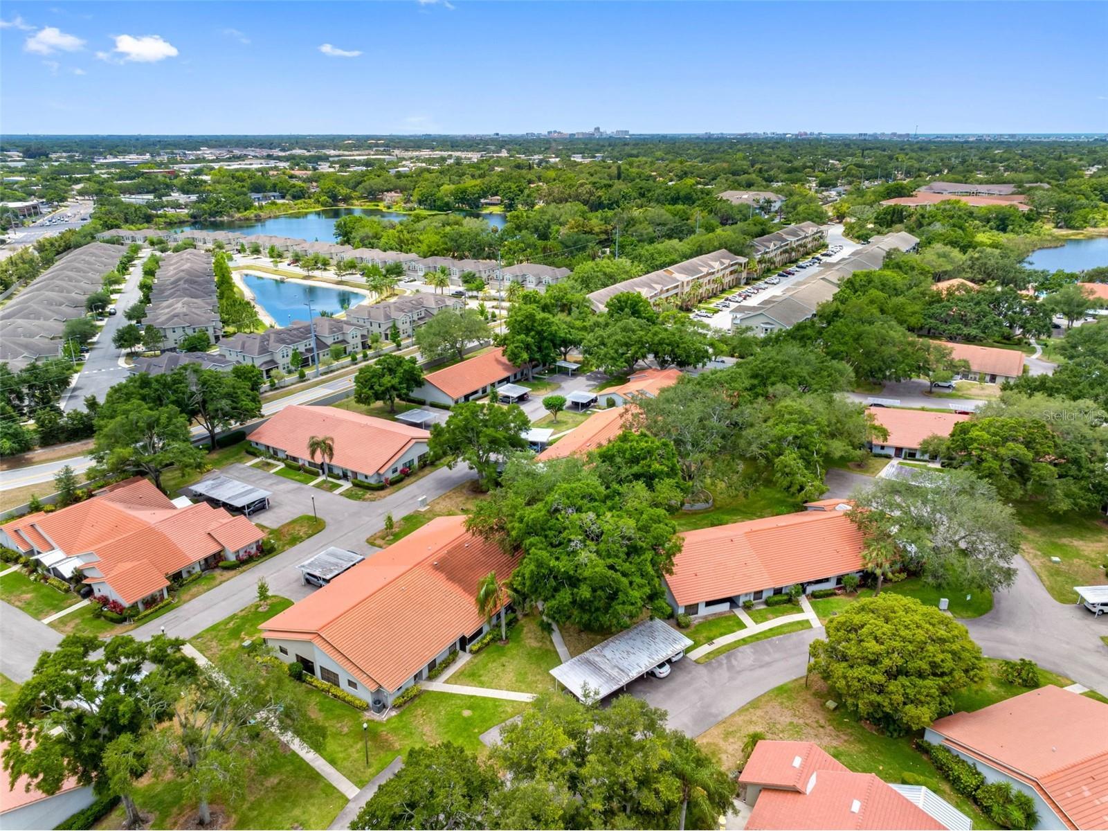 2022 Arbor Lane Clearwater FL 33763 TB8506486 image40