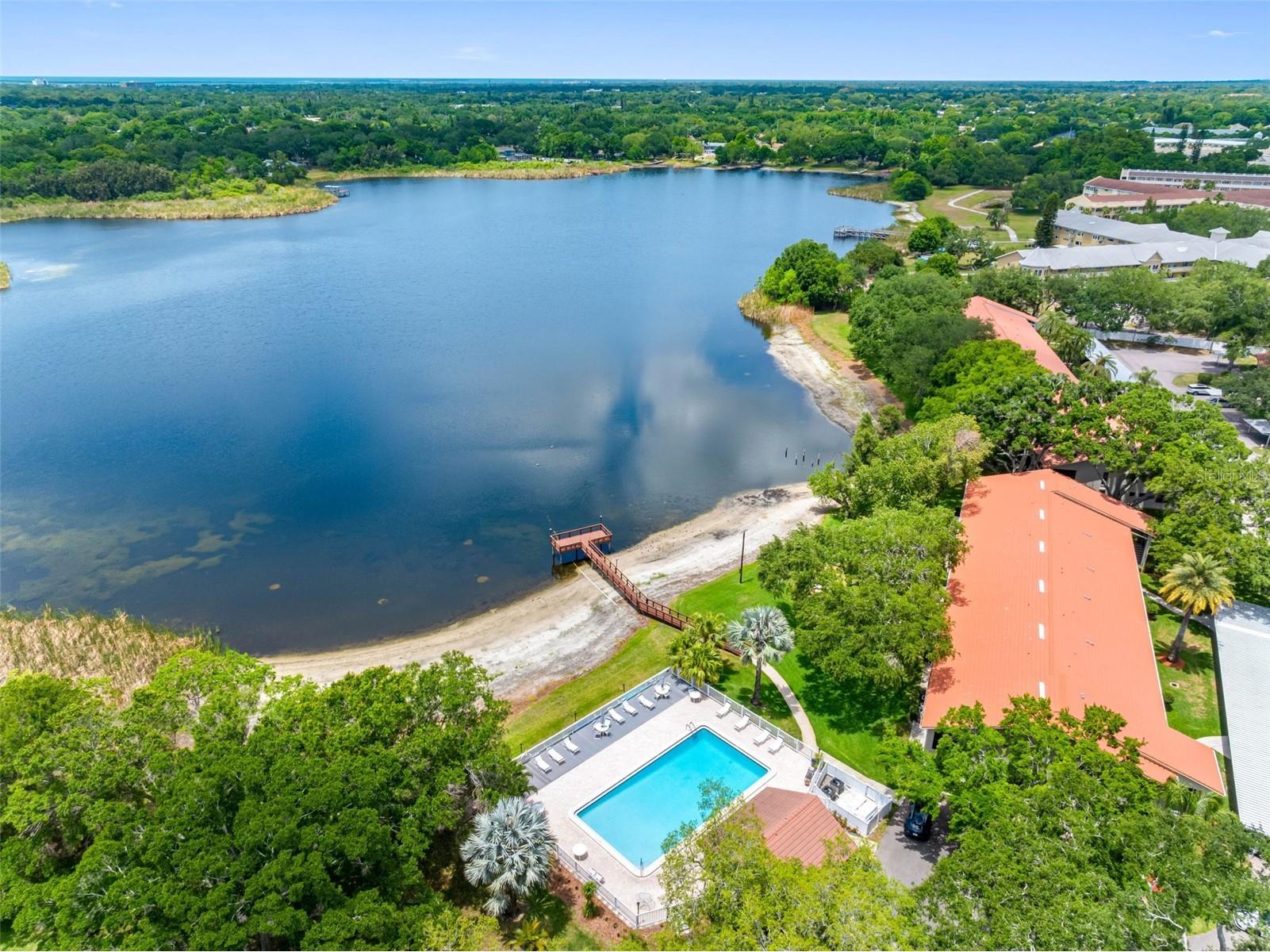 2022 Arbor Lane Clearwater FL 33763 TB8506486 image44