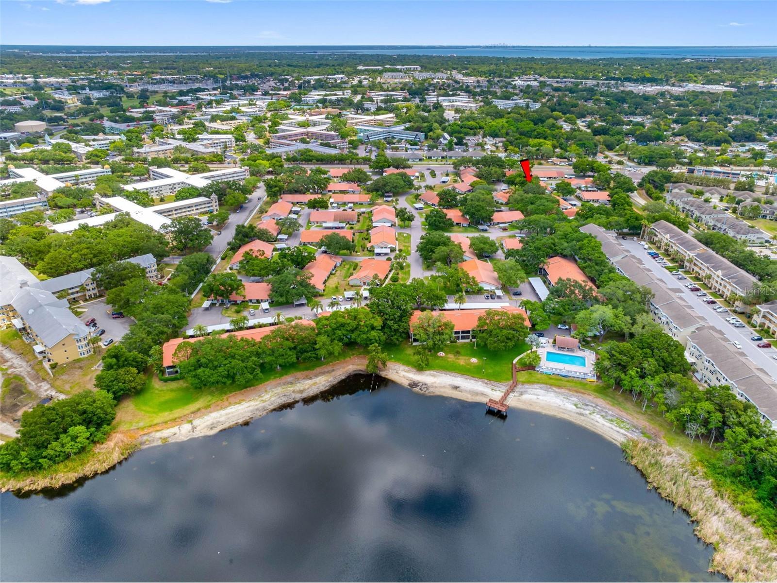2022 Arbor Lane Clearwater FL 33763 TB8506486 image49