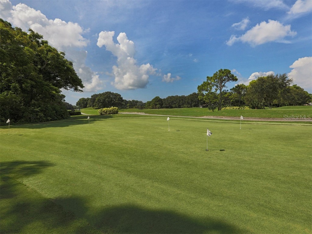 2022 Calusa Lakes Blvd Nokomis FL 34275 N6138617 image45