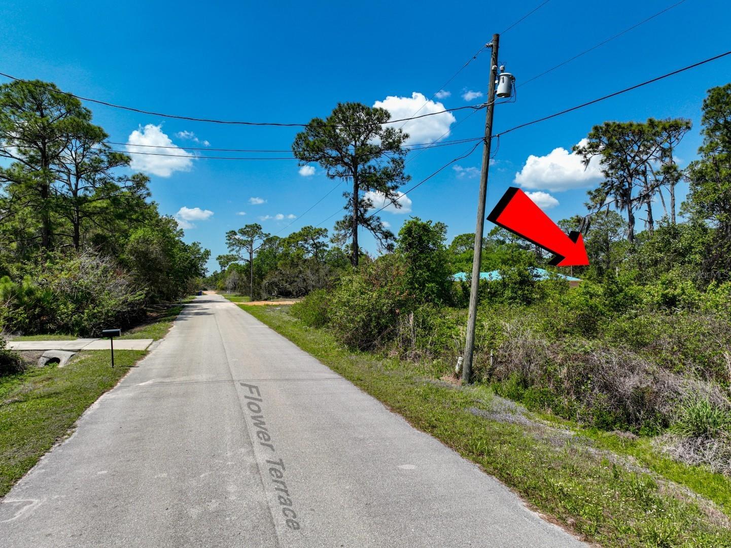 2022 Flower Terrace Sebring FL 33875 TB8492972 image1