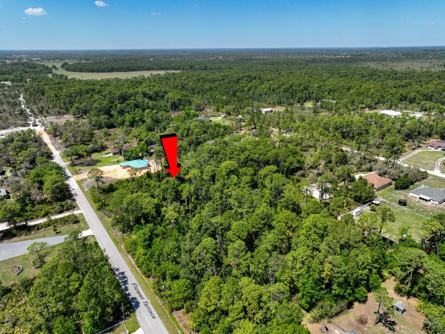2022 Flower Terrace Sebring FL 33875 TB8492972 image12