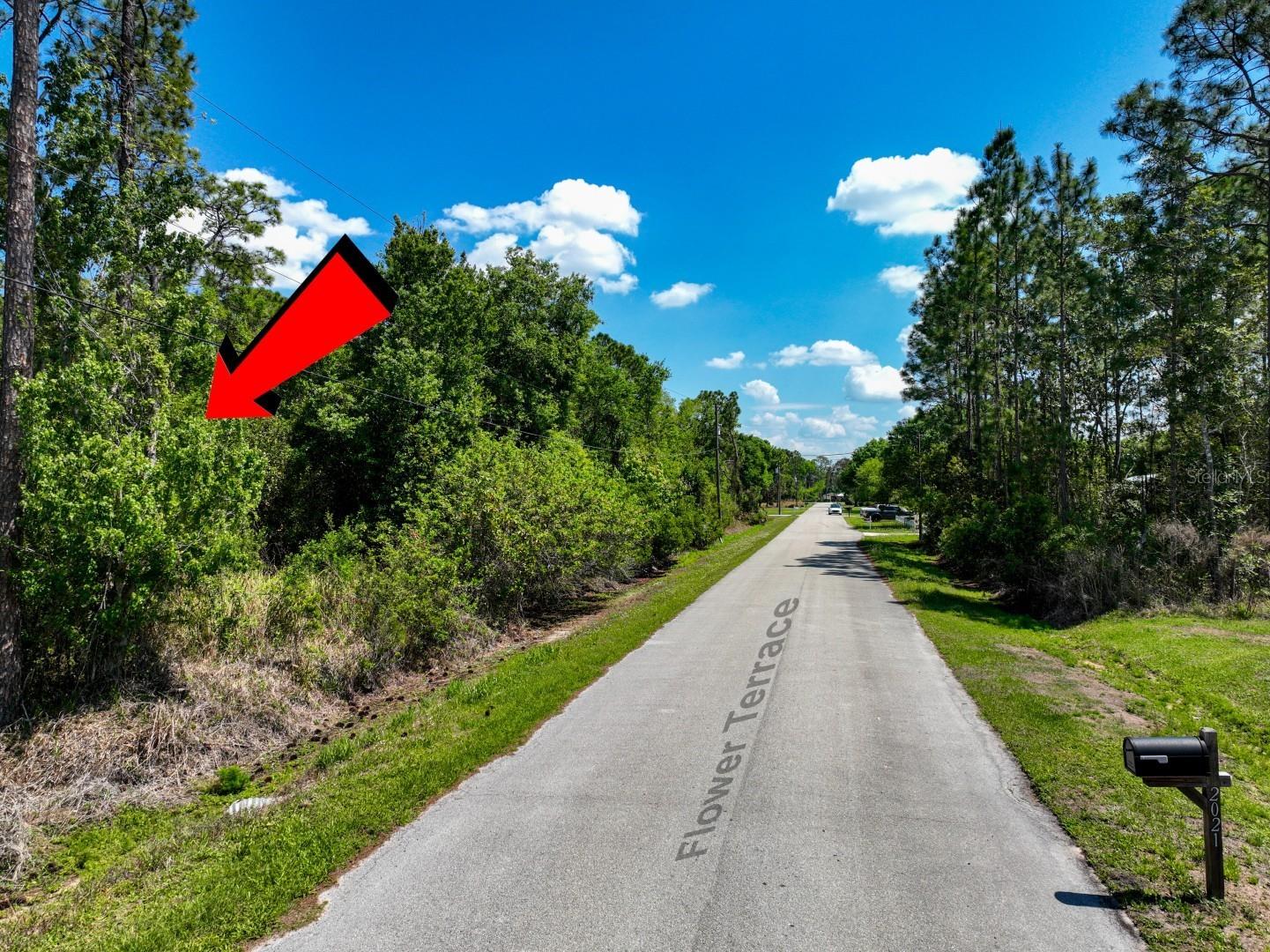 2022 Flower Terrace Sebring FL 33875 TB8492972 image2