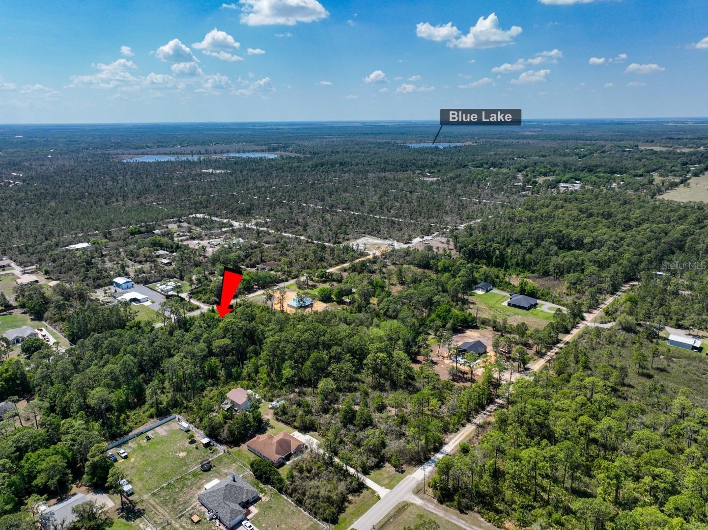 2022 Flower Terrace Sebring FL 33875 TB8492972 image6