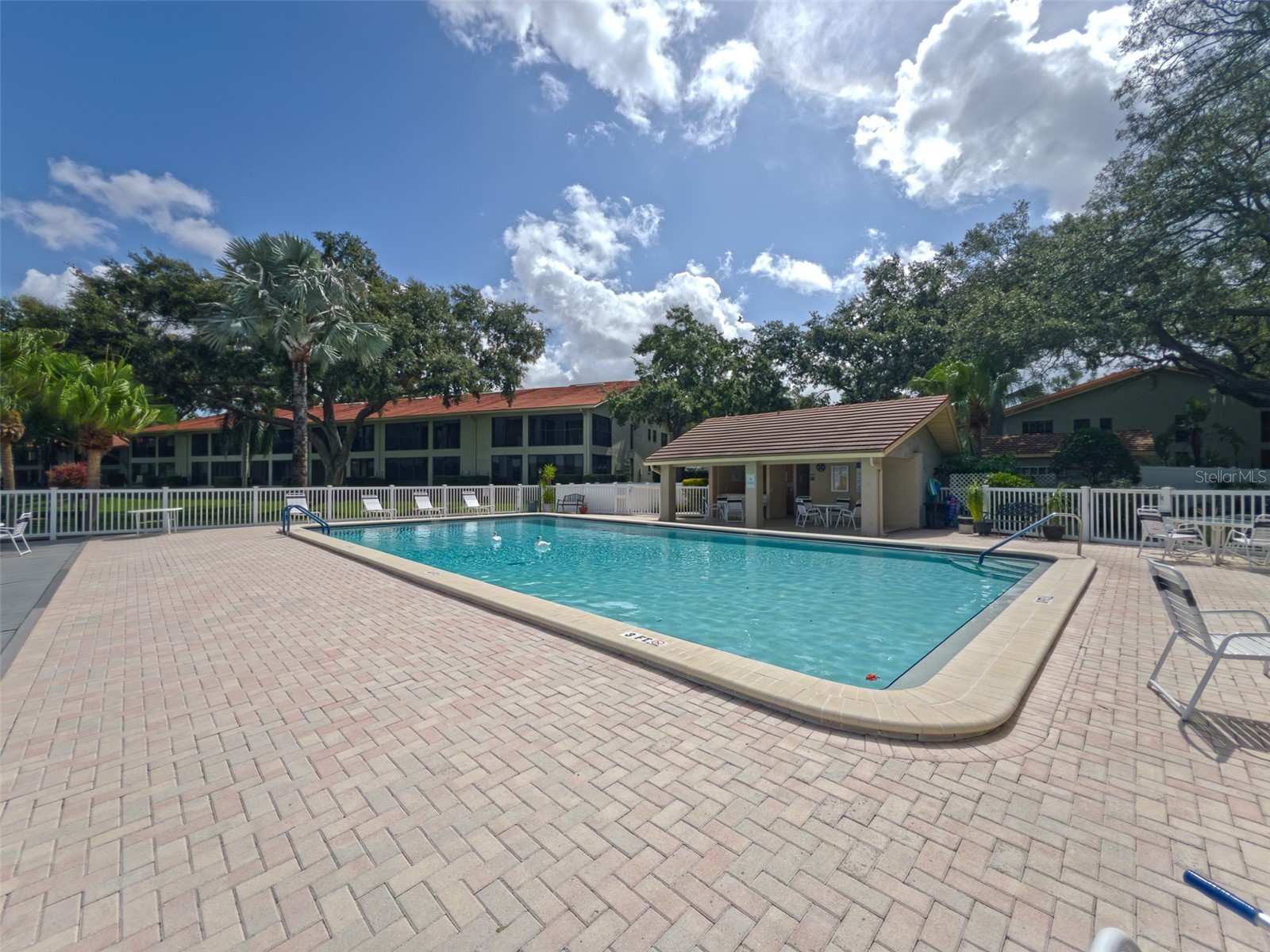 2022 Nash Drive Clearwater FL 33763 TB8532550 image34
