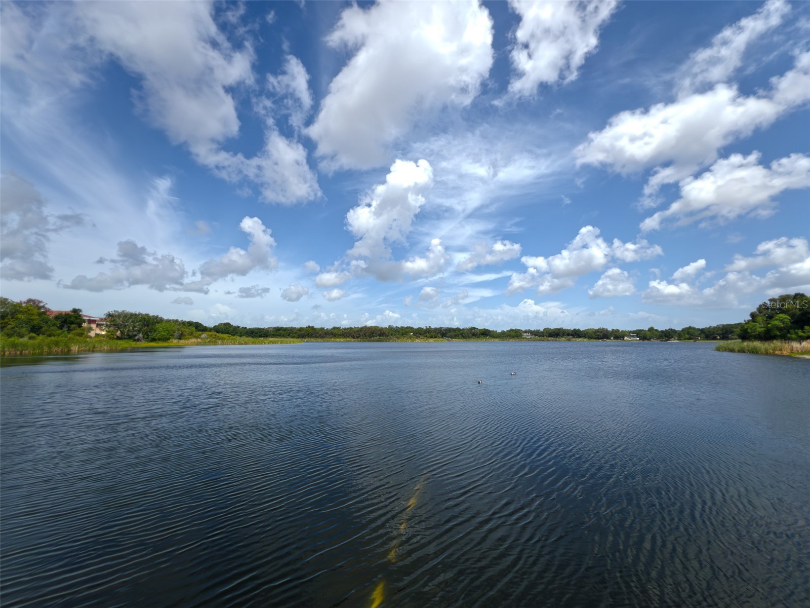 2022 Nash Drive Clearwater FL 33763 TB8532550 image38