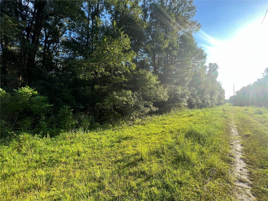 2022 SW 122nd Street Gainesville FL 32607 GC515577 image1