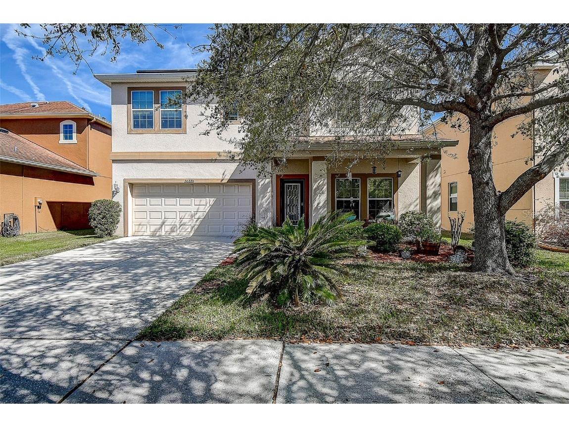 20220 Autumn Fern Avenue Tampa FL 33647 TB8362692 image1