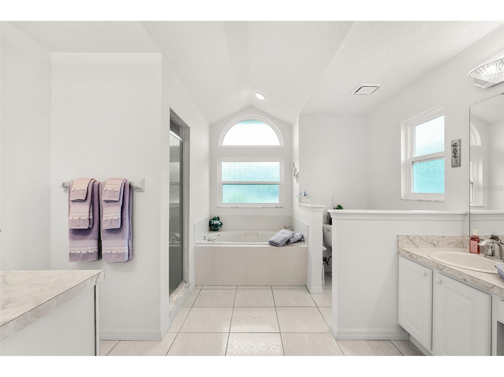 20220 Melville Street Orlando FL 32833 O6403091 image13