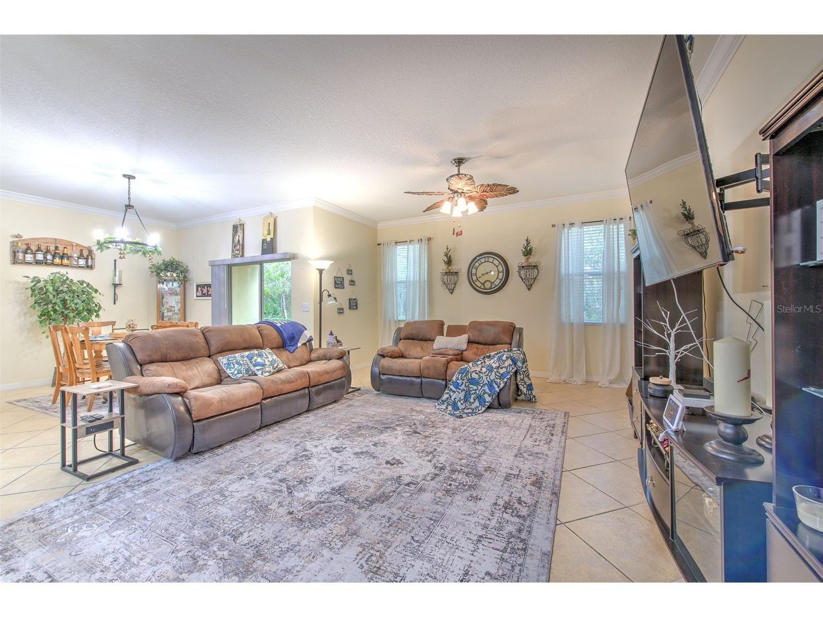 20223 Indian Rosewood Drive Tampa FL 33647 TB8482757 image17