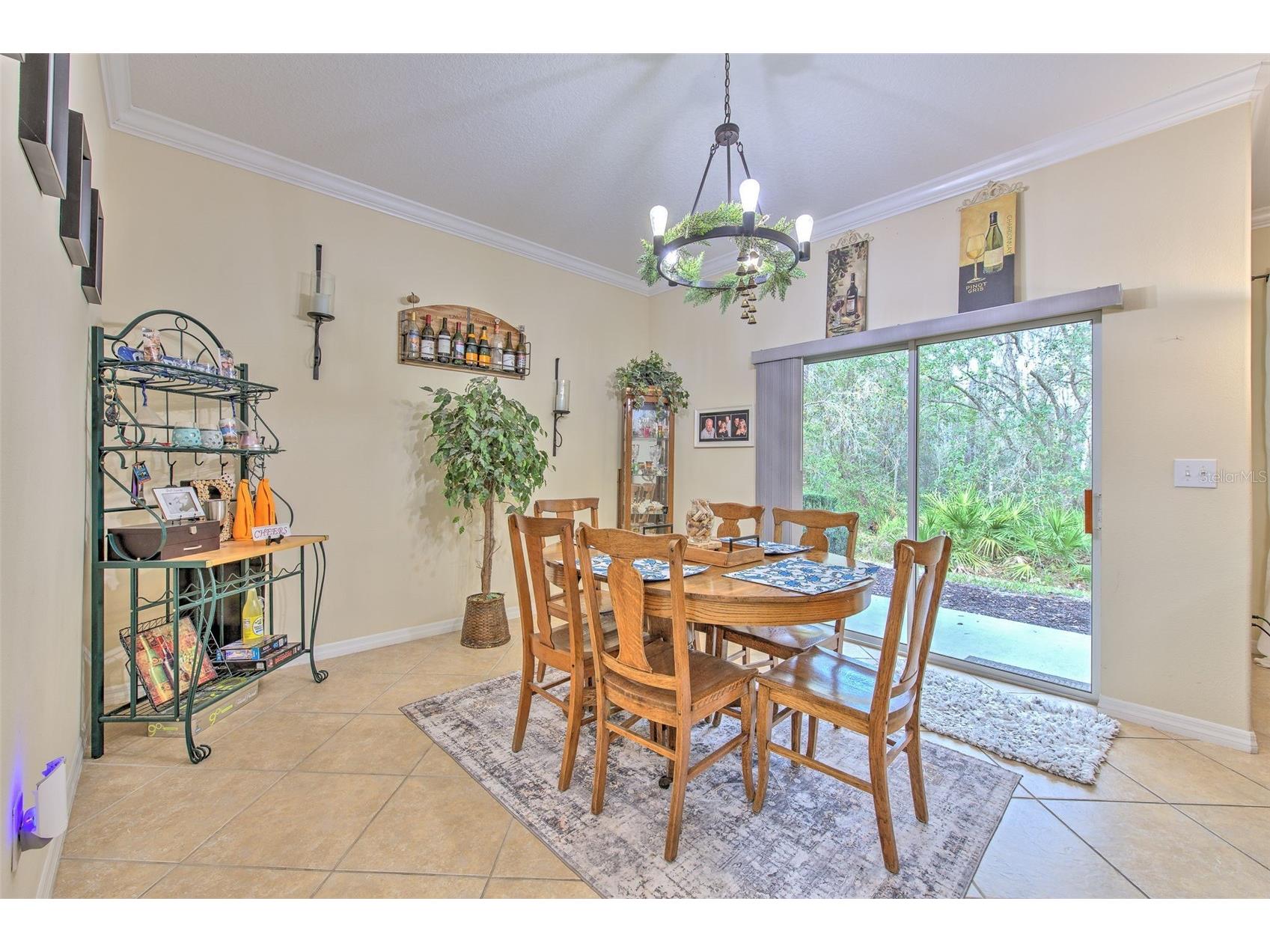 20223 Indian Rosewood Drive Tampa FL 33647 TB8482757 image21