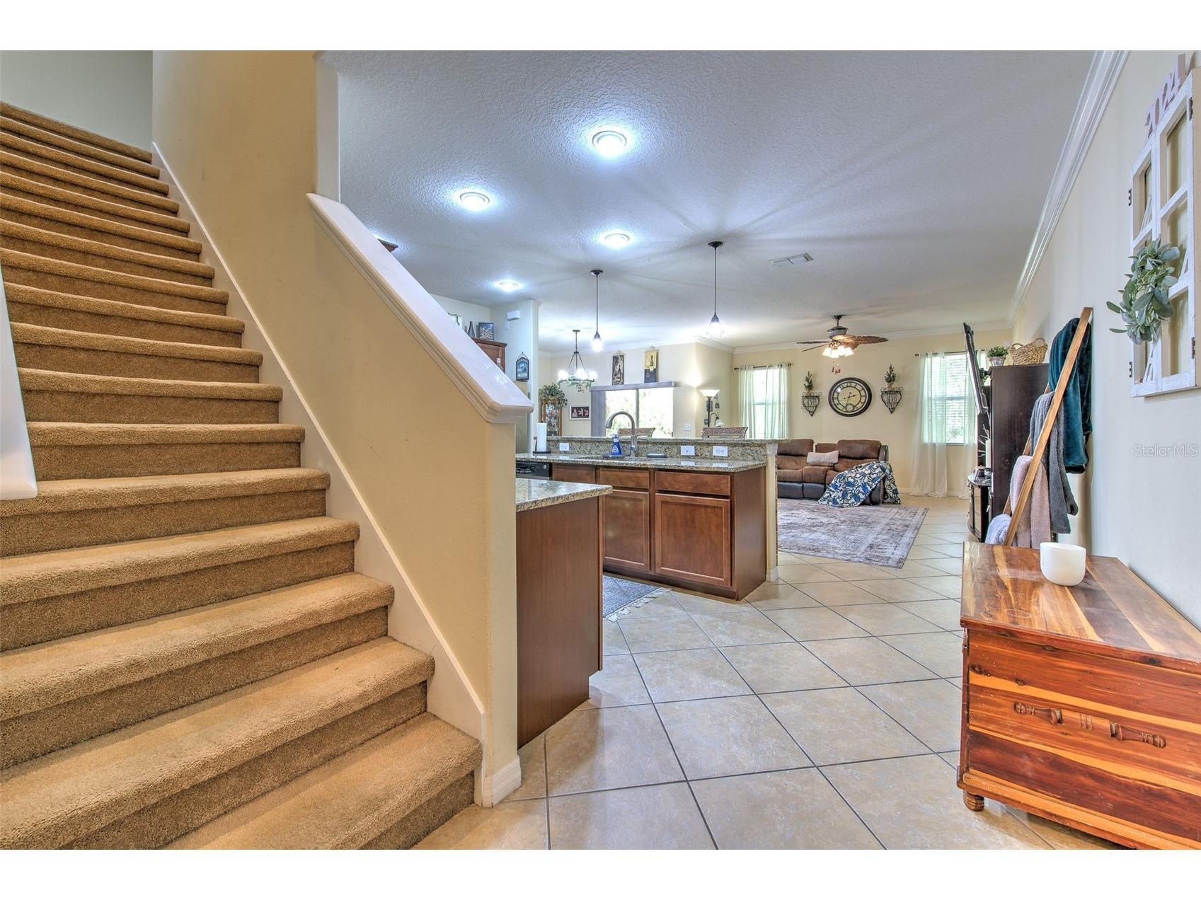 20223 Indian Rosewood Drive Tampa FL 33647 TB8482757 image23