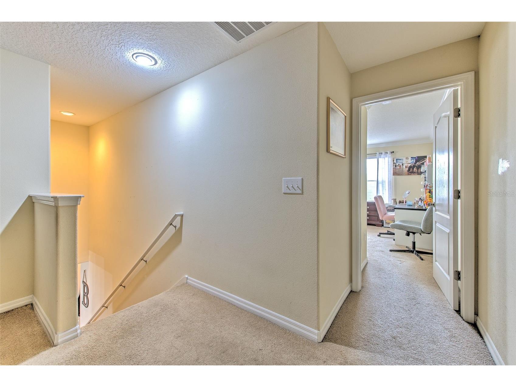 20223 Indian Rosewood Drive Tampa FL 33647 TB8482757 image33