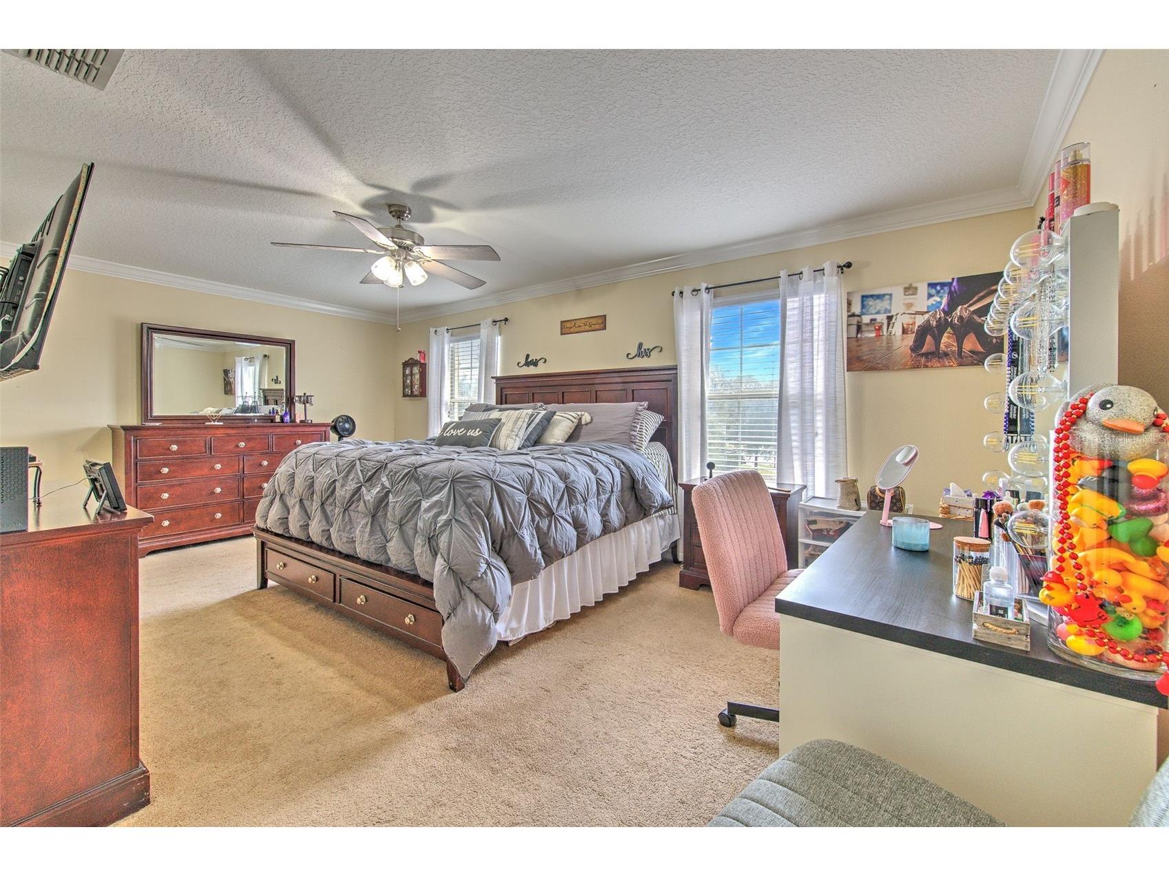 20223 Indian Rosewood Drive Tampa FL 33647 TB8482757 image34