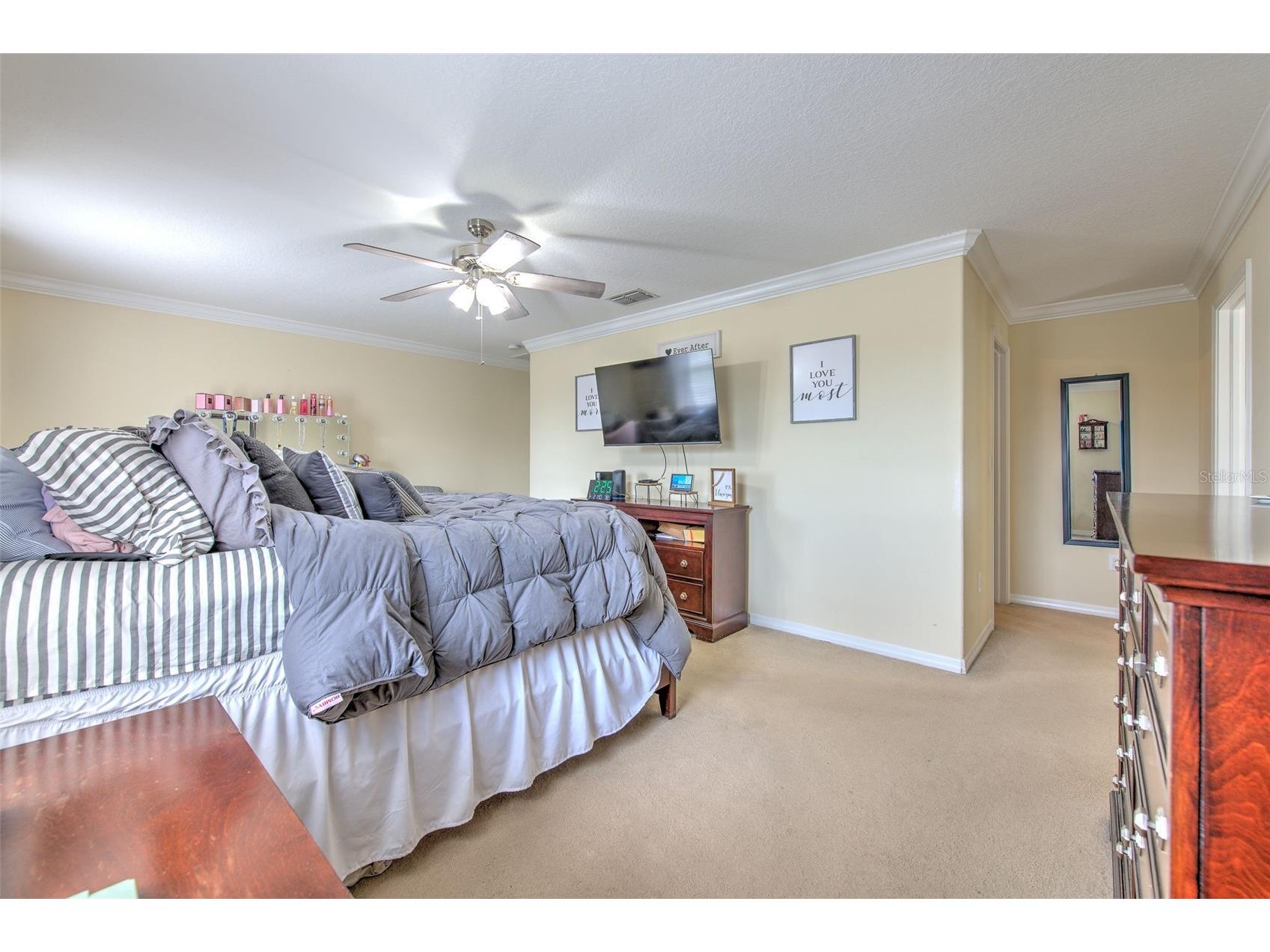 20223 Indian Rosewood Drive Tampa FL 33647 TB8482757 image35