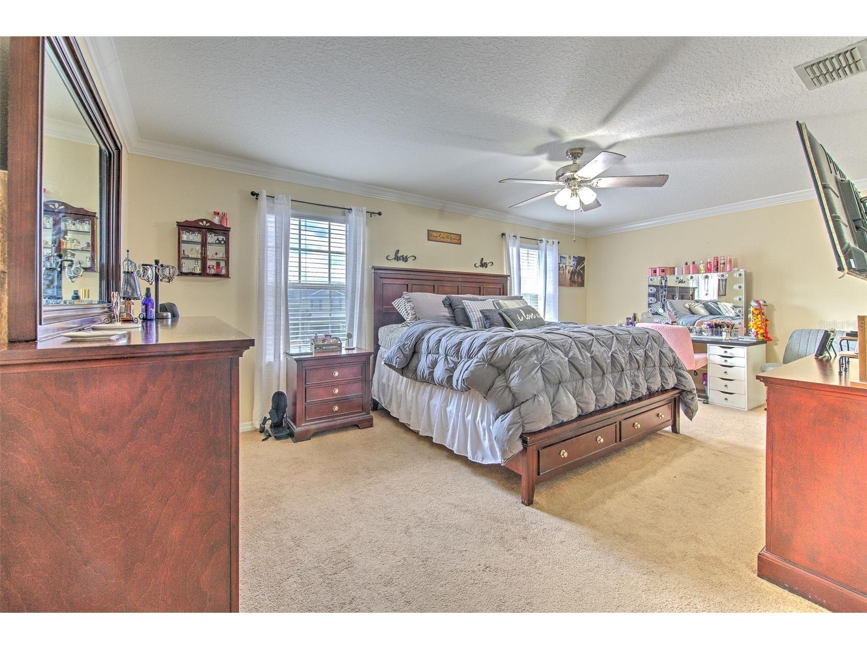 20223 Indian Rosewood Drive Tampa FL 33647 TB8482757 image36