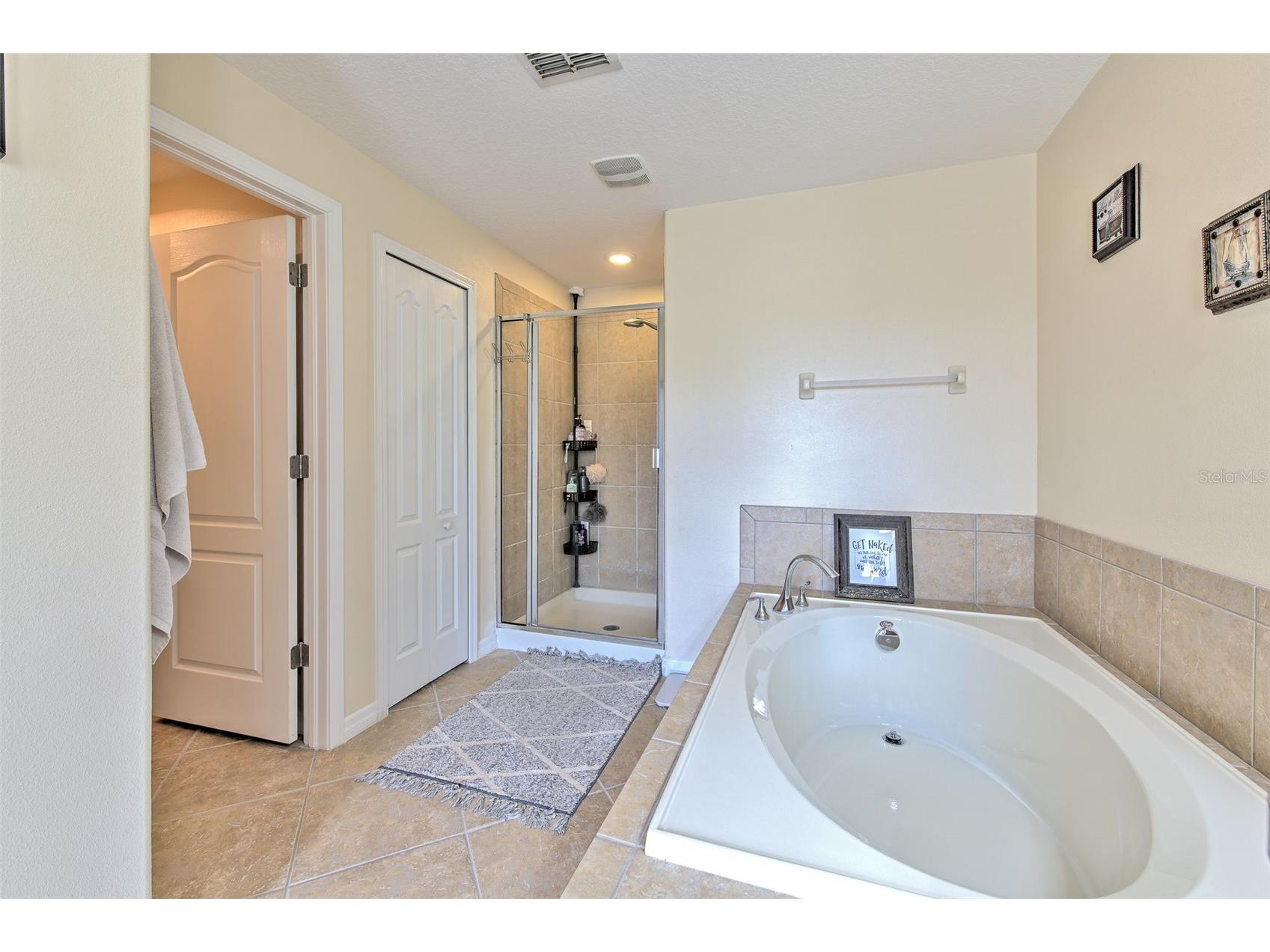 20223 Indian Rosewood Drive Tampa FL 33647 TB8482757 image38