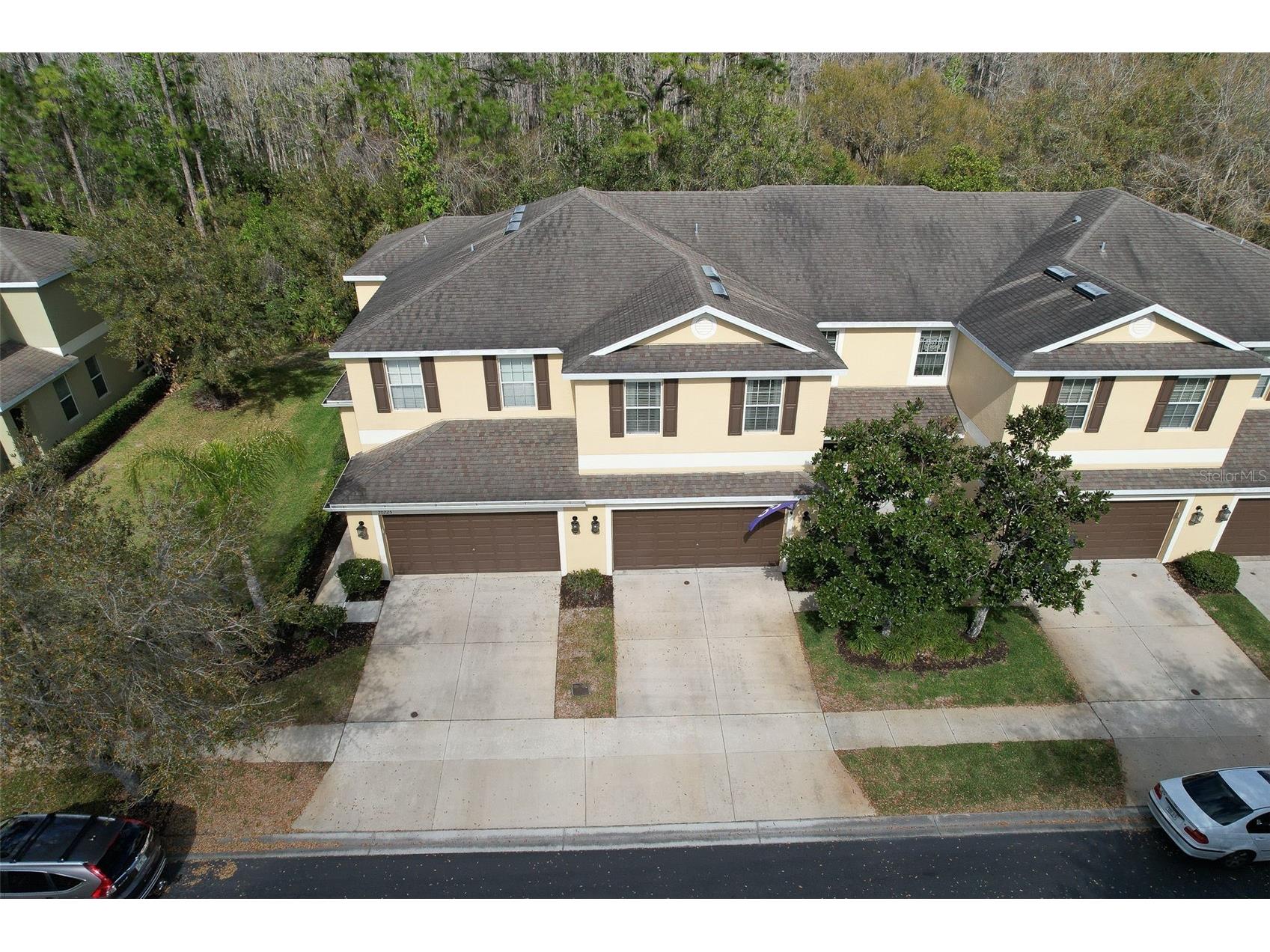 20223 Indian Rosewood Drive Tampa FL 33647 TB8482757 image4