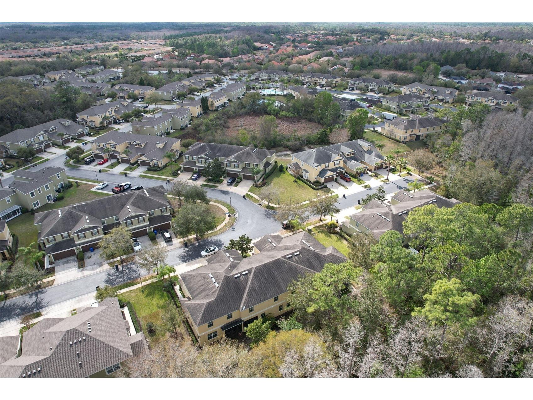20223 Indian Rosewood Drive Tampa FL 33647 TB8482757 image43