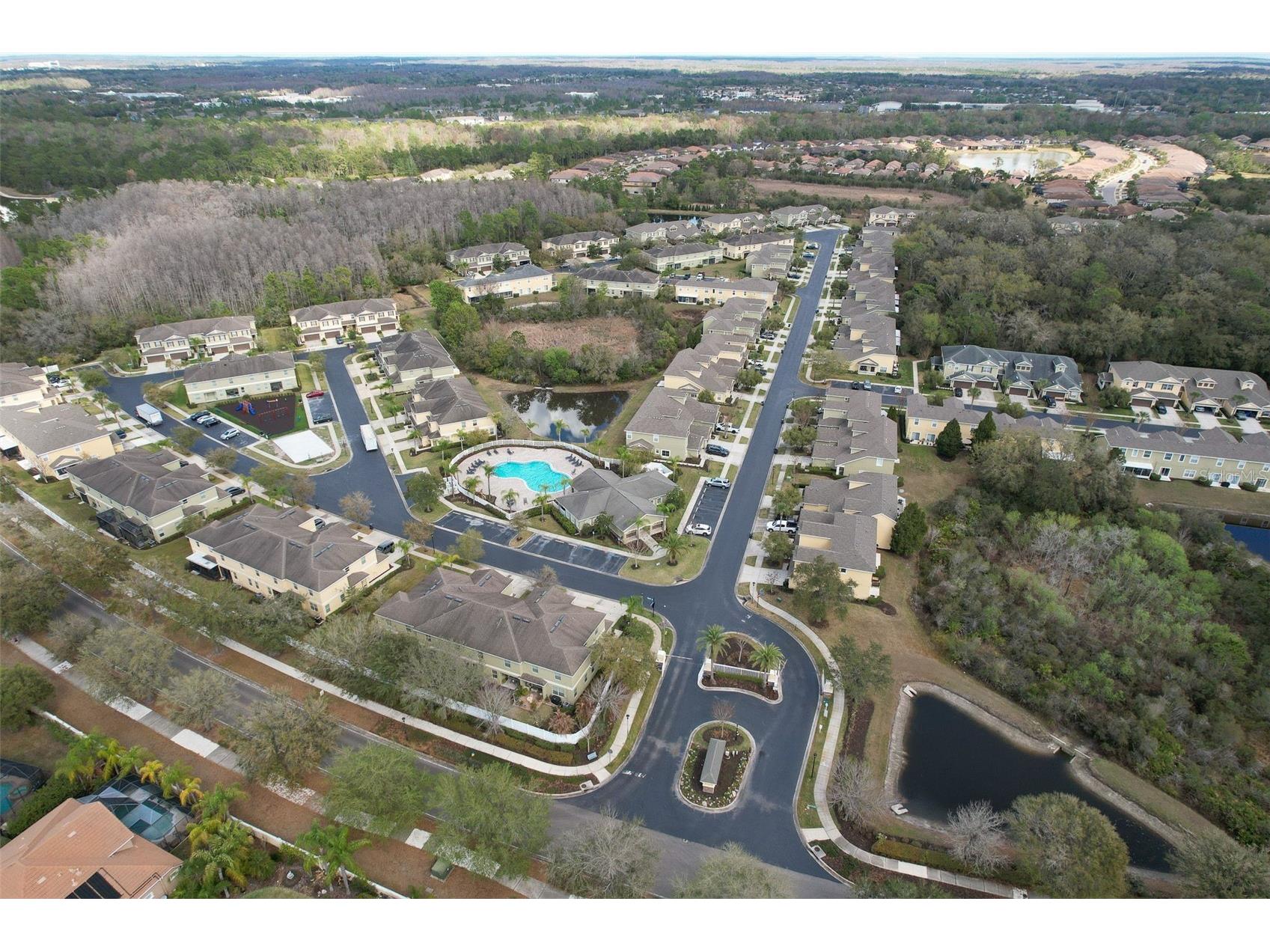 20223 Indian Rosewood Drive Tampa FL 33647 TB8482757 image47