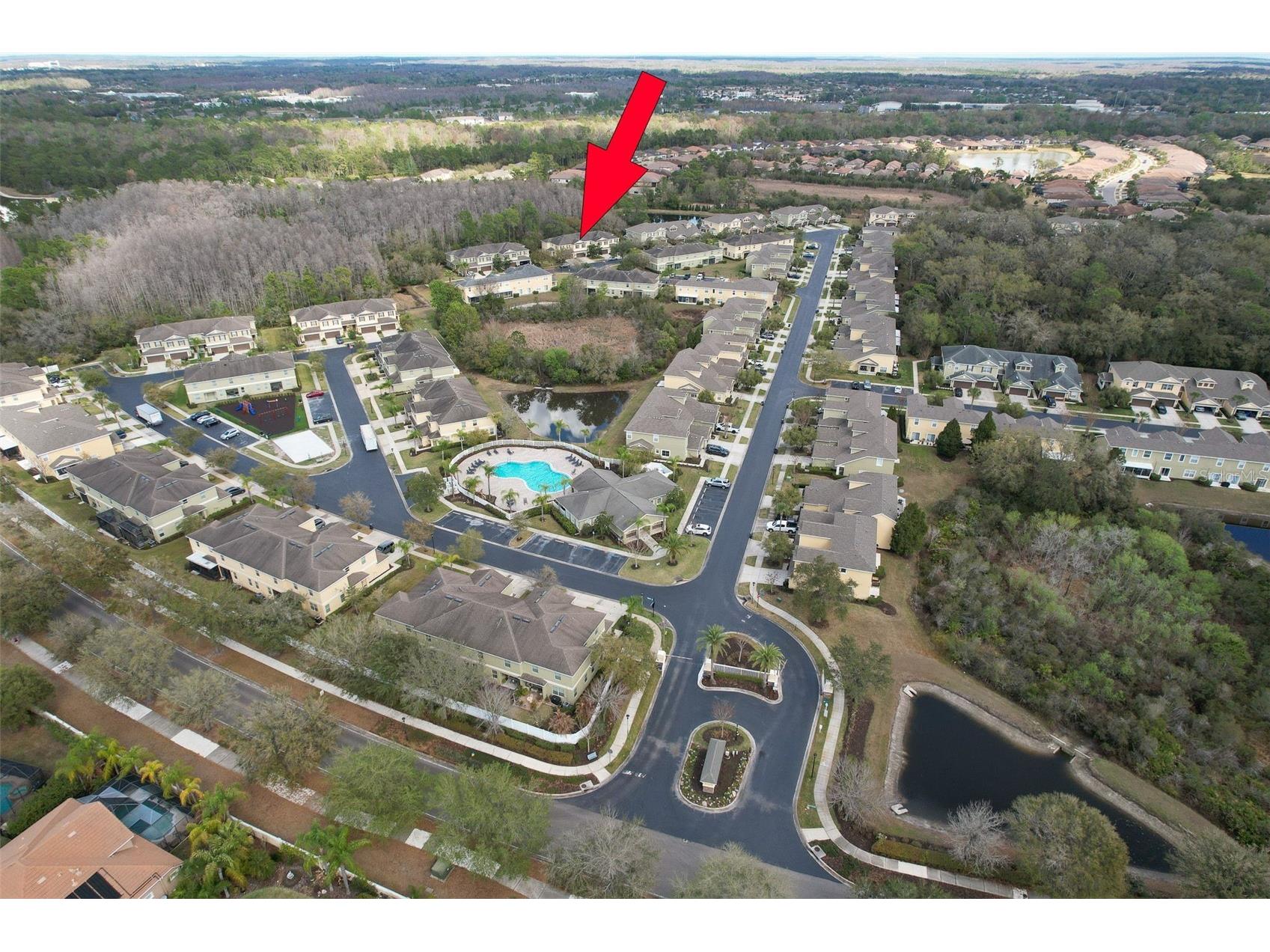 20223 Indian Rosewood Drive Tampa FL 33647 TB8482757 image48
