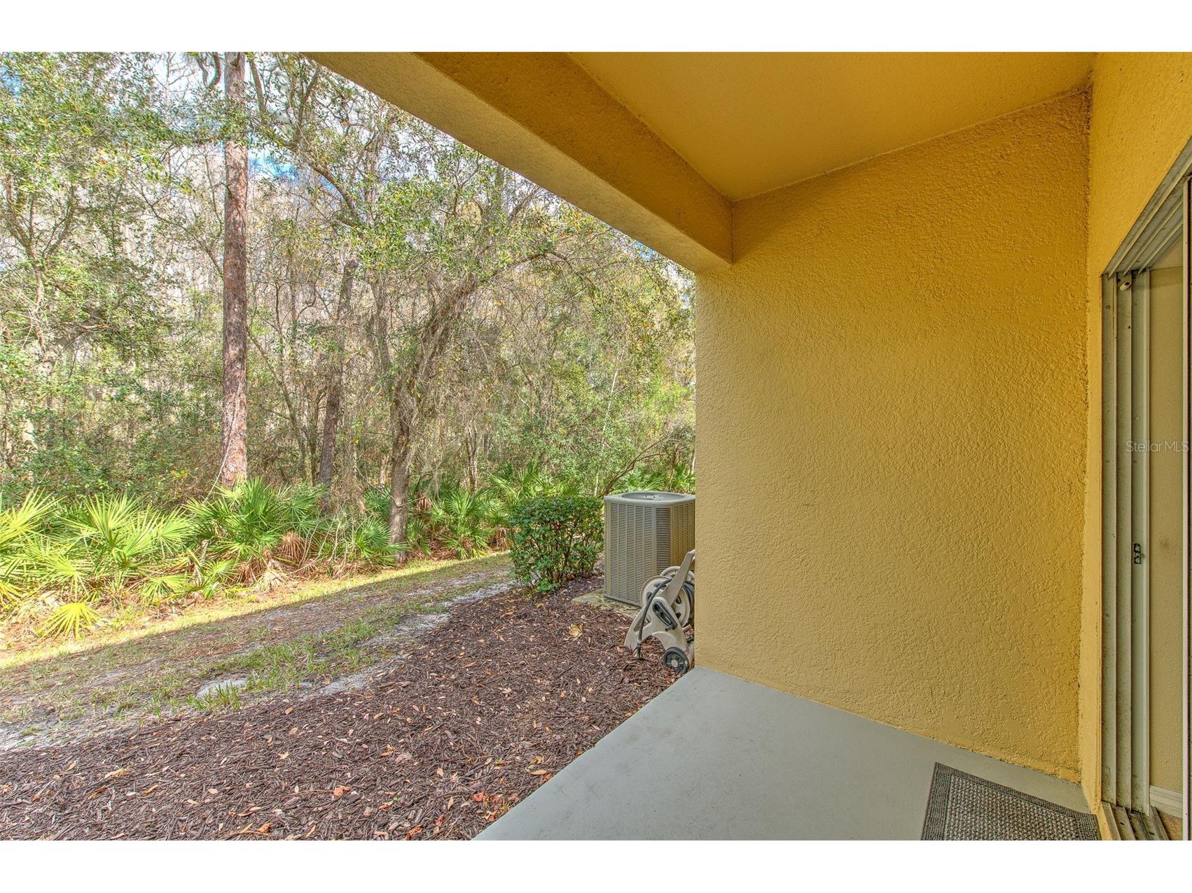 20223 Indian Rosewood Drive Tampa FL 33647 TB8482757 image5