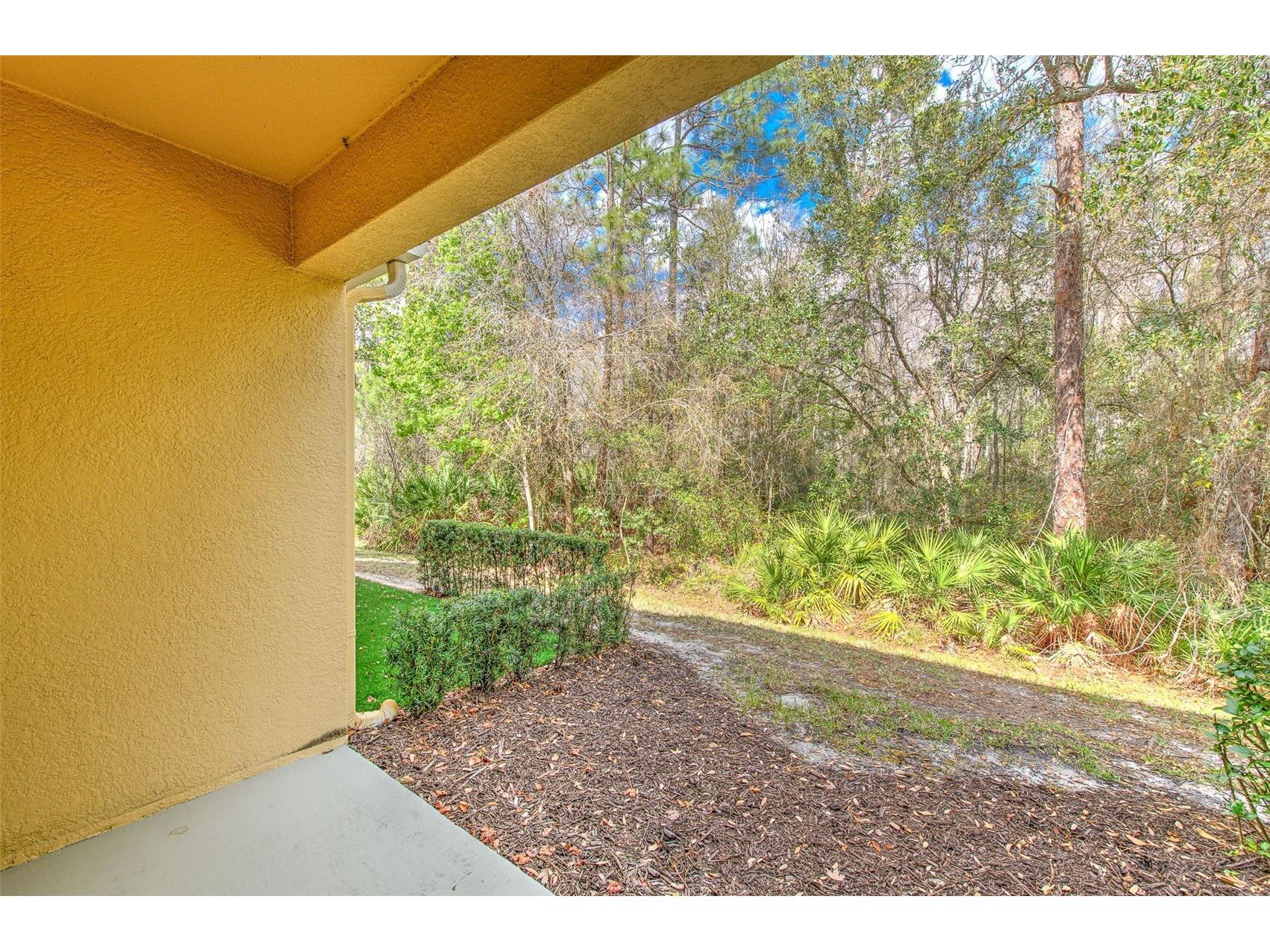 20223 Indian Rosewood Drive Tampa FL 33647 TB8482757 image6