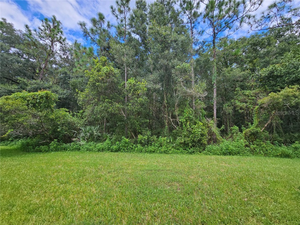 20225 Vintage Oaks Place Tampa FL 33647 TB8433143 image39