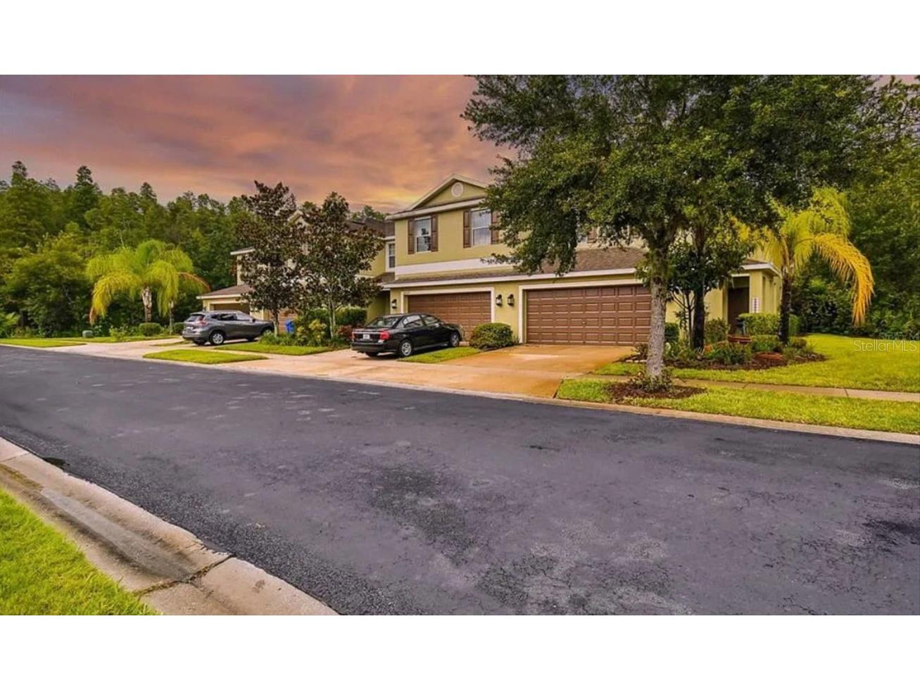 20227 Indian Rosewood Drive Tampa FL 33647 T3417897 image1