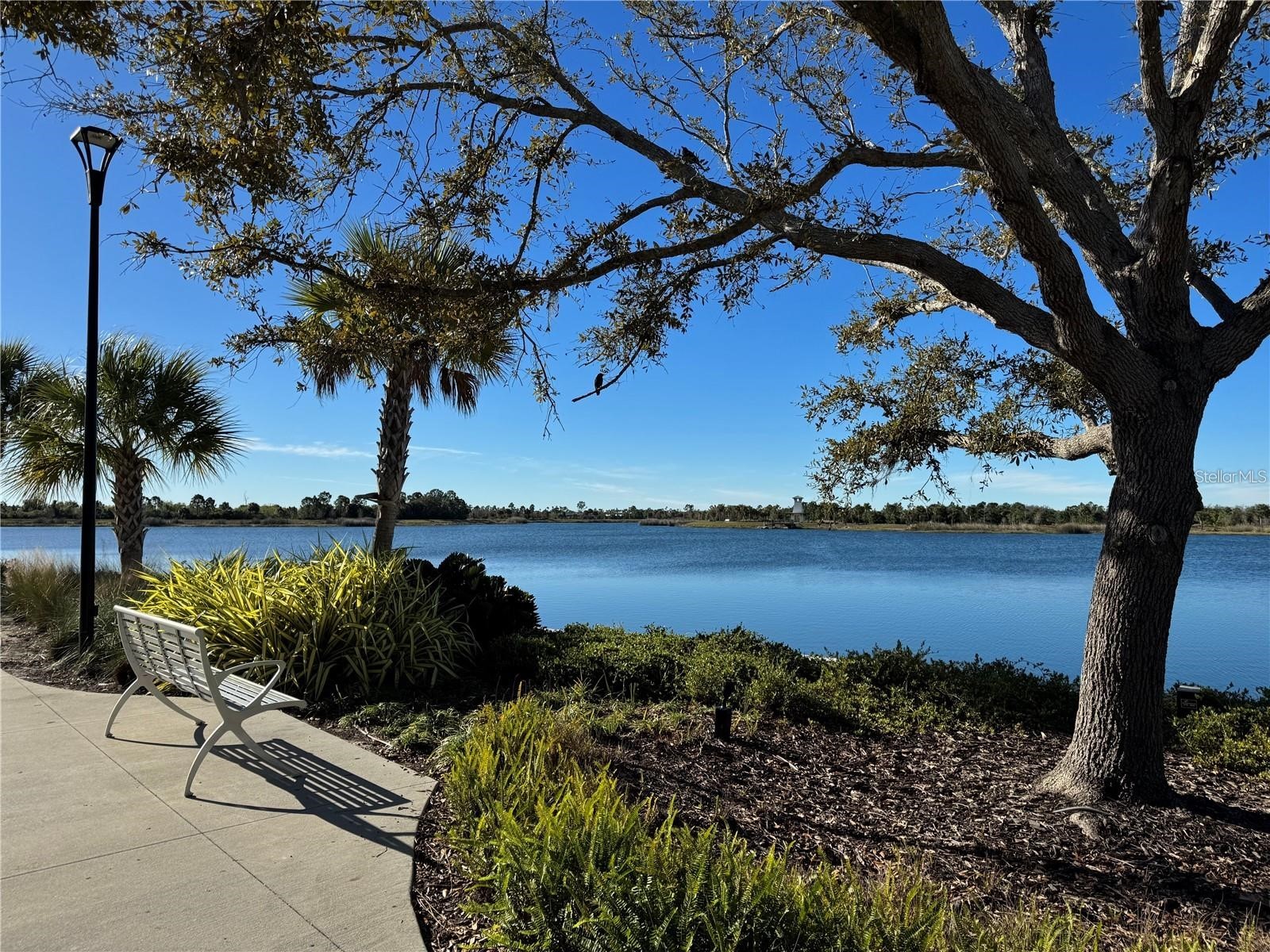 20229 Lagente Circle Venice FL 34293 N6144361 image64