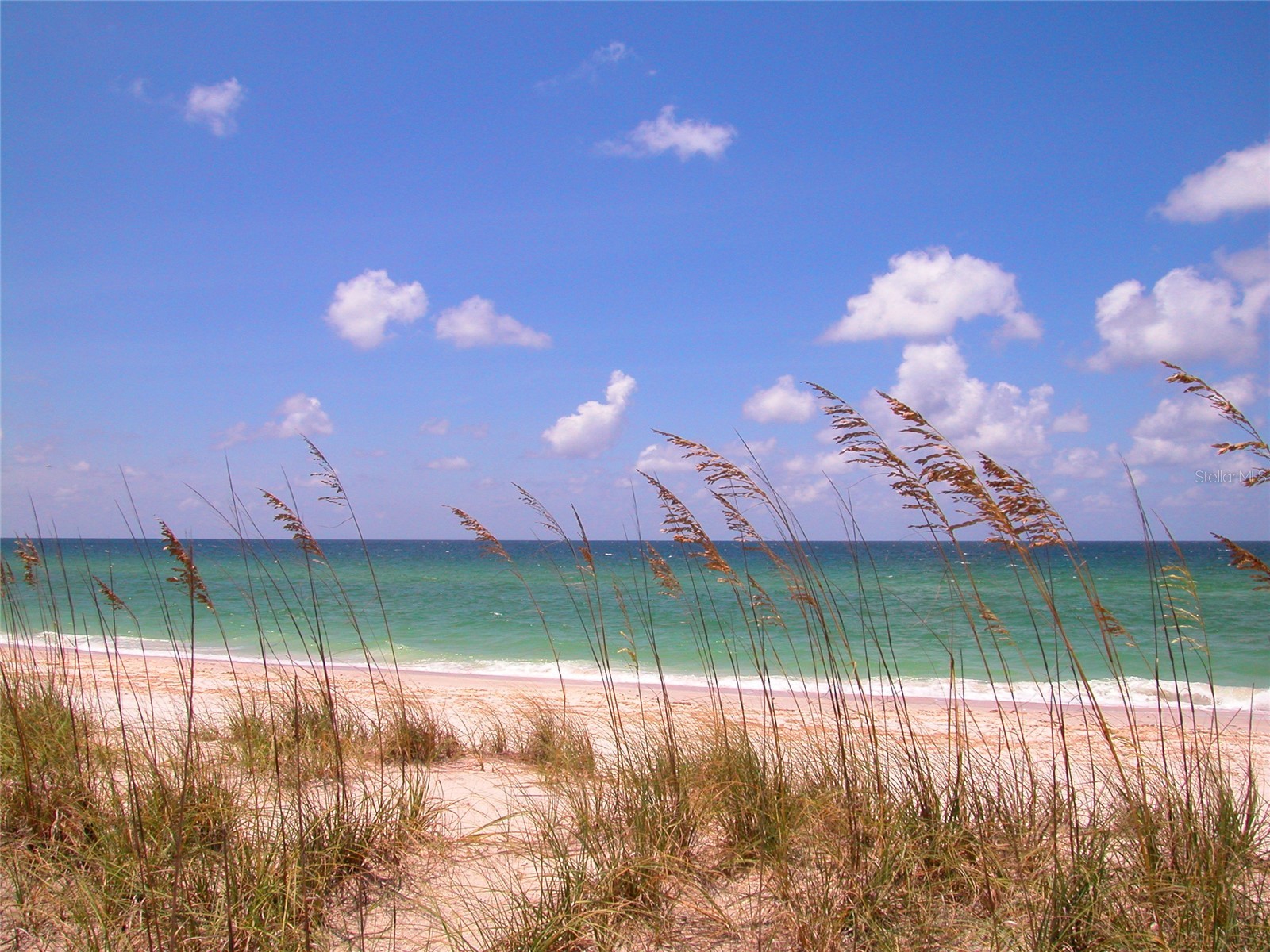 20229 Lagente Circle Venice FL 34293 N6144361 image65