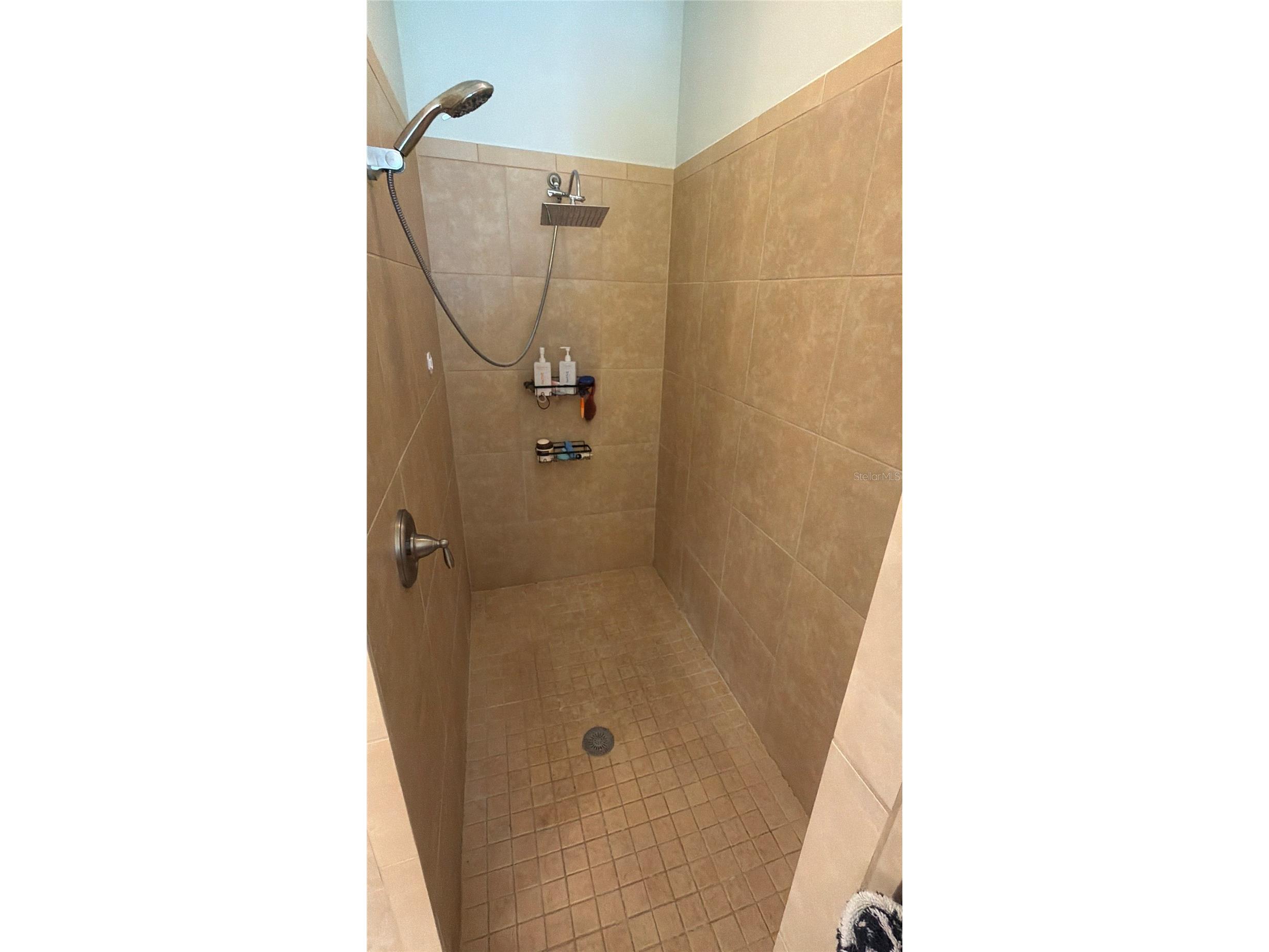 2023 Misty Glen Drive Apopka FL 32712 G5113639 image22
