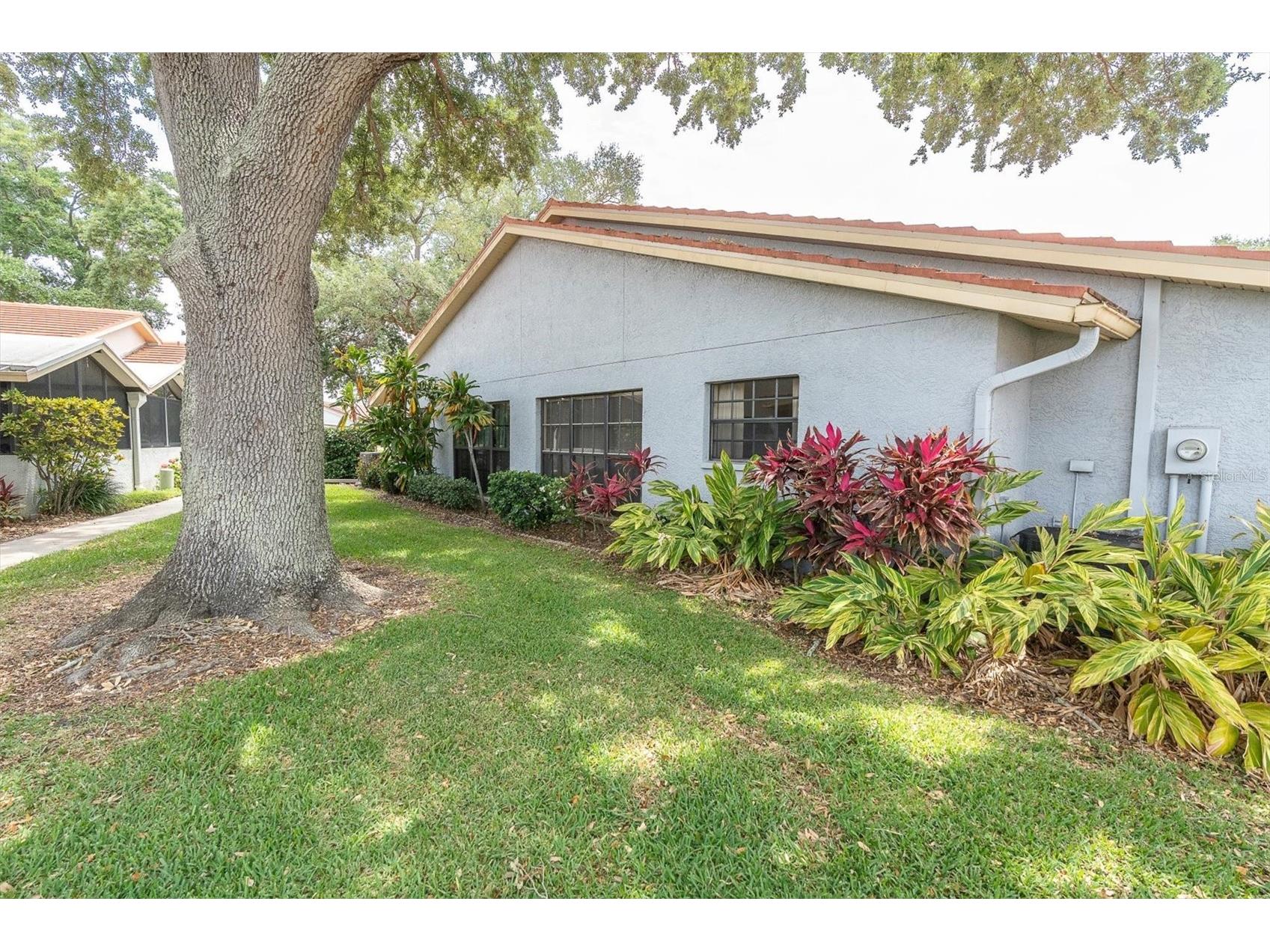 2023 Nash Drive Clearwater FL 33763 TB8498612 image2
