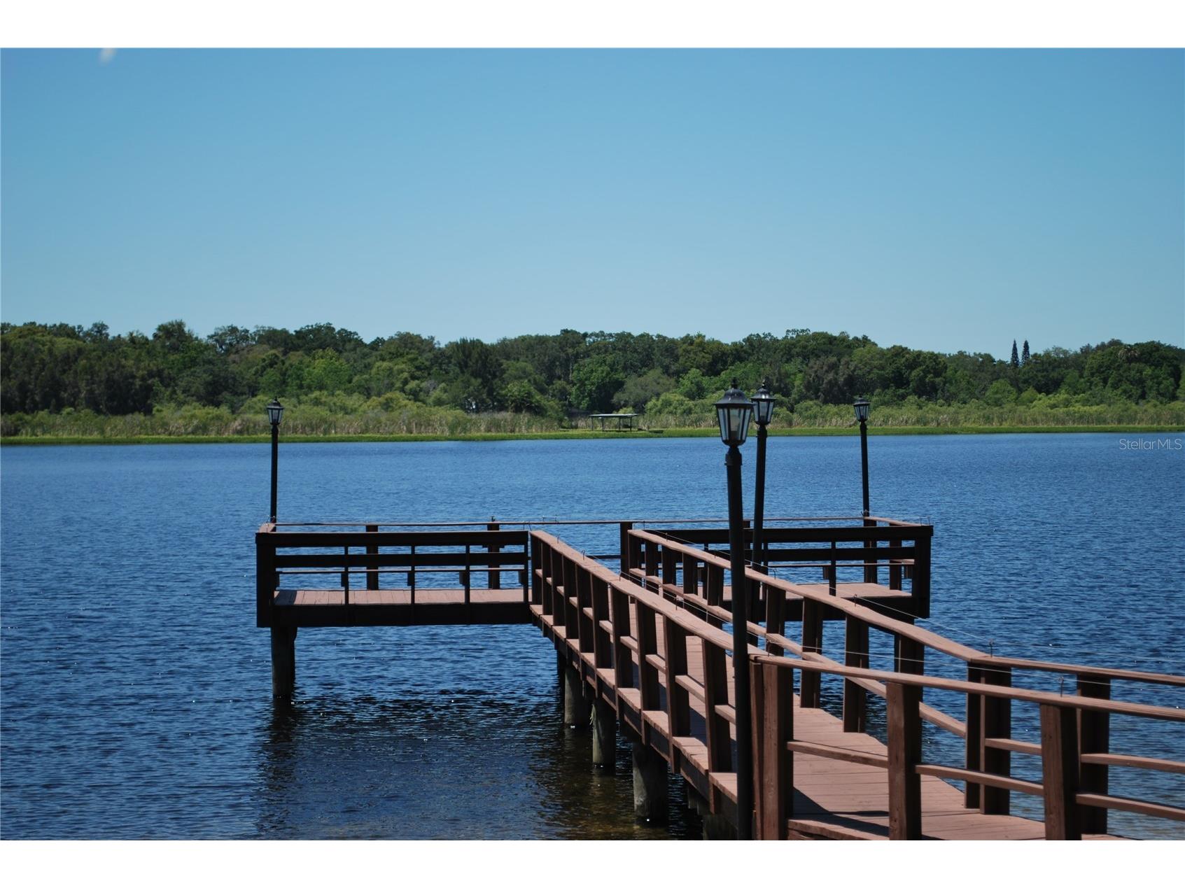 2023 Nash Drive Clearwater FL 33763 TB8498612 image33