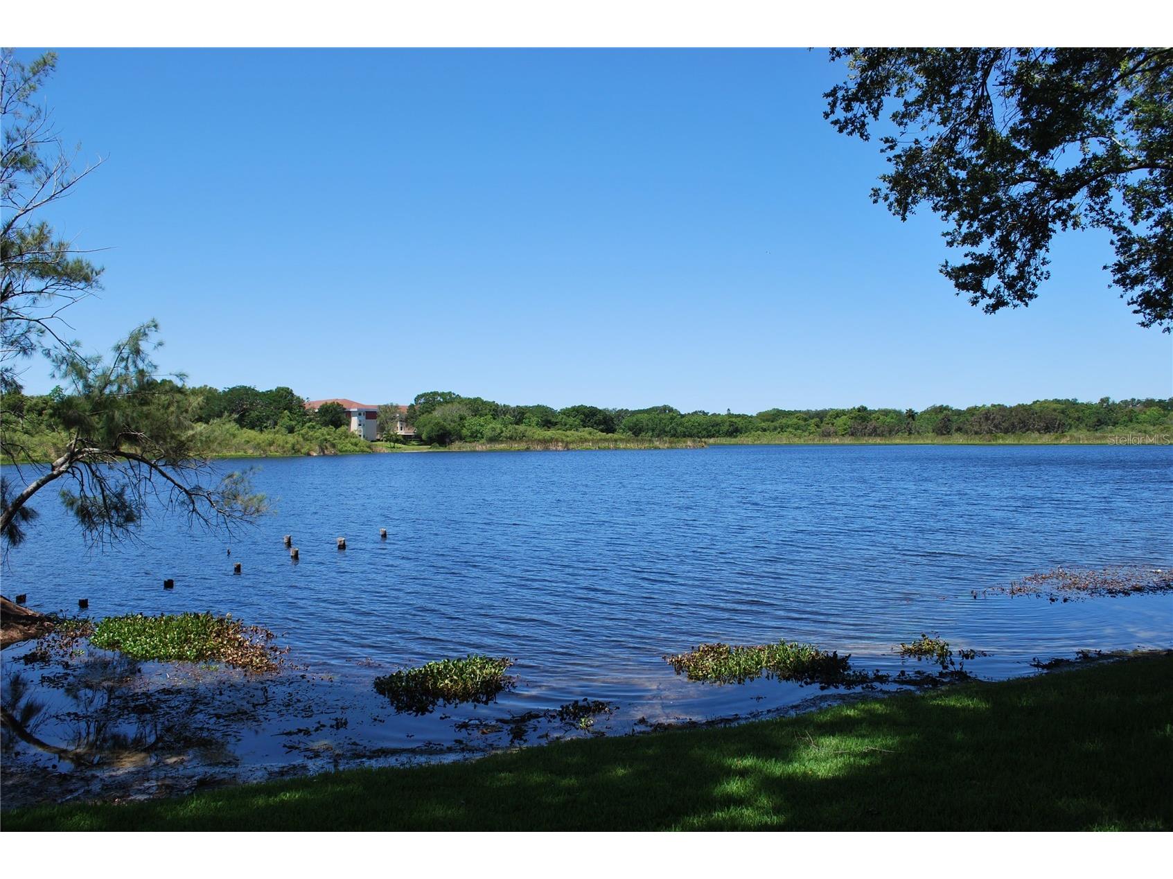 2023 Nash Drive Clearwater FL 33763 TB8498612 image35