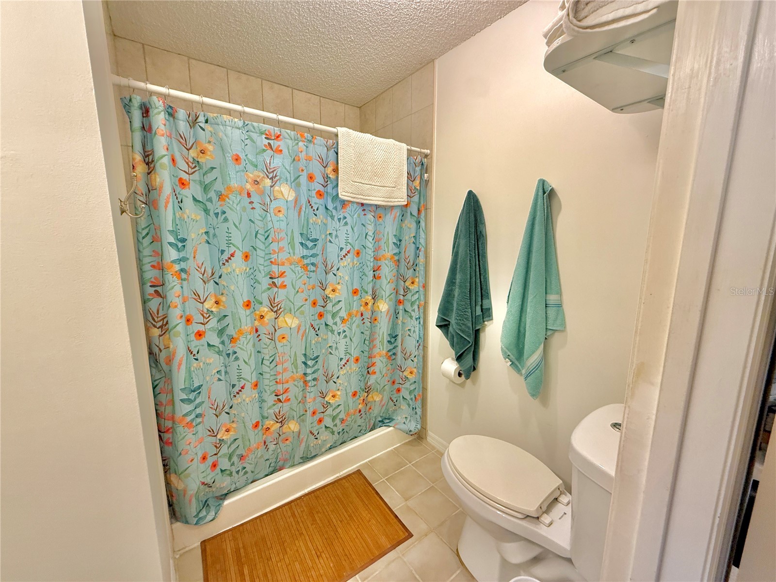 2023 S Flagler Avenue Flagler Beach FL 32136 FC318484 image63