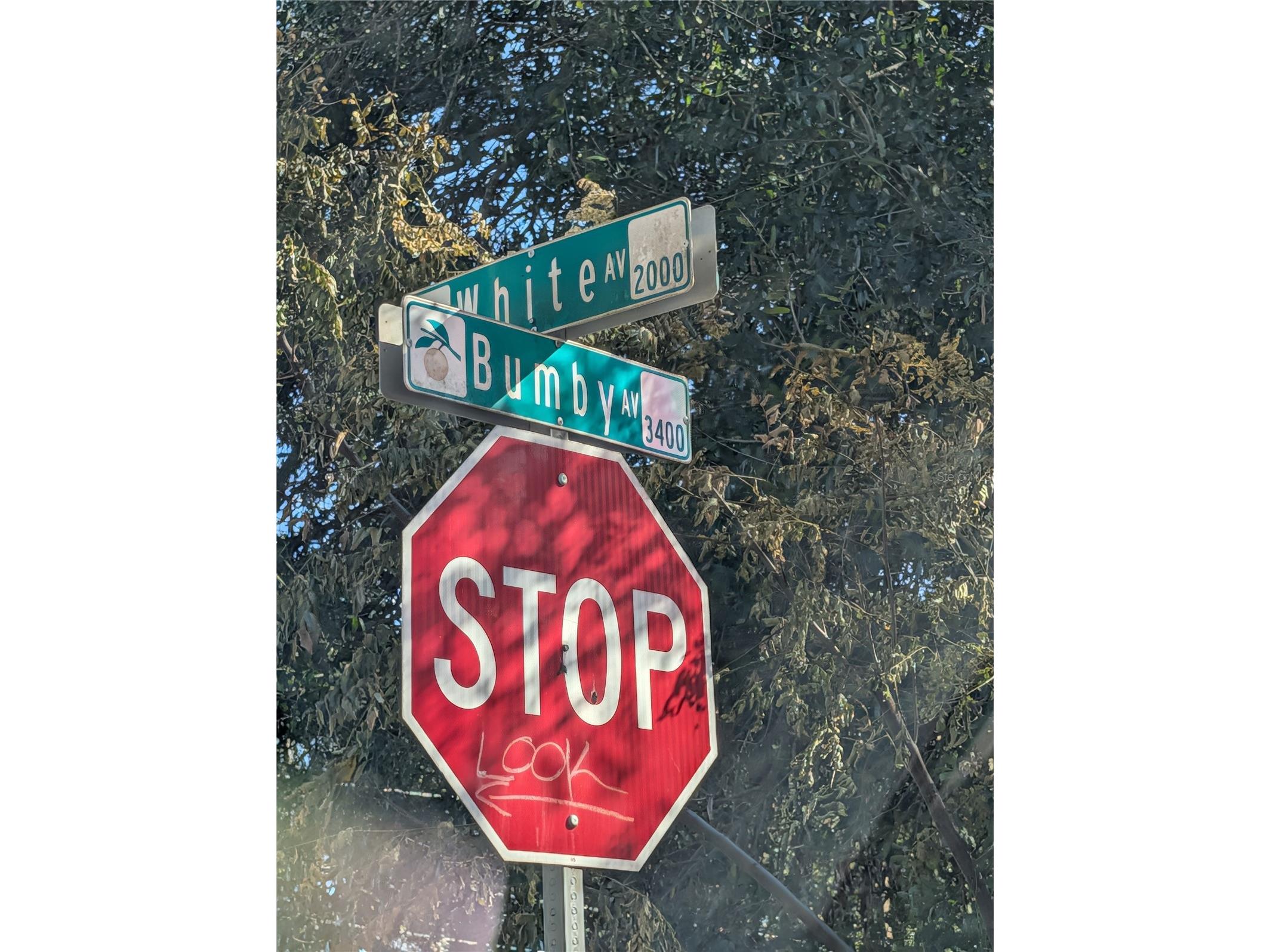 2023 White Avenue Orlando FL 32806 S5142562 image46