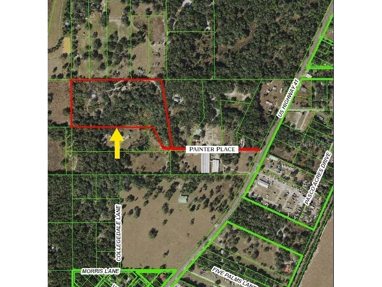 20231 Painter Place Spring Hill FL 34610 U8206933 image1