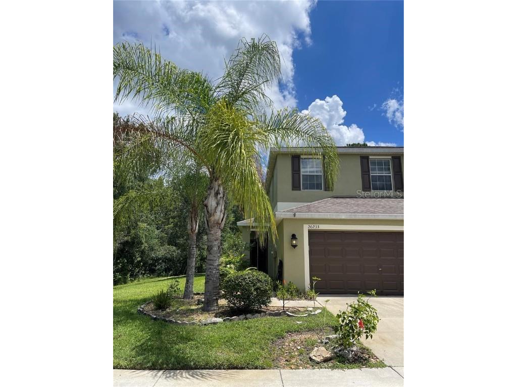 20233 Indian Rosewood Drive Tampa FL 33647 TB8433529 image1