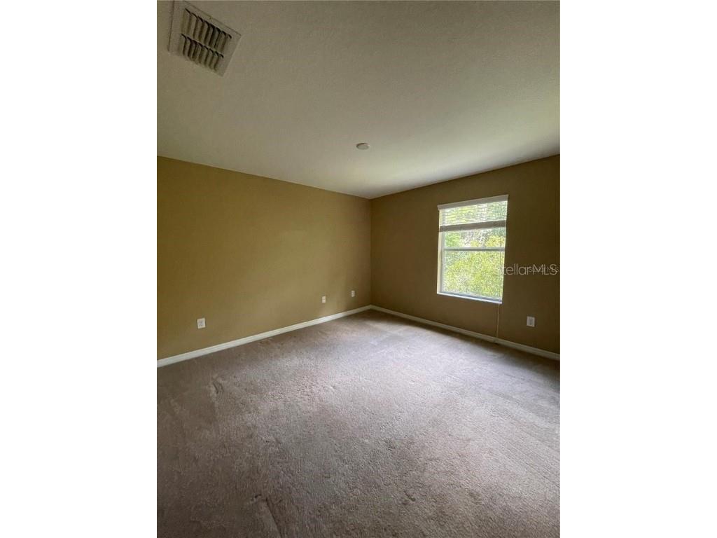 20233 Indian Rosewood Drive Tampa FL 33647 TB8433529 image15