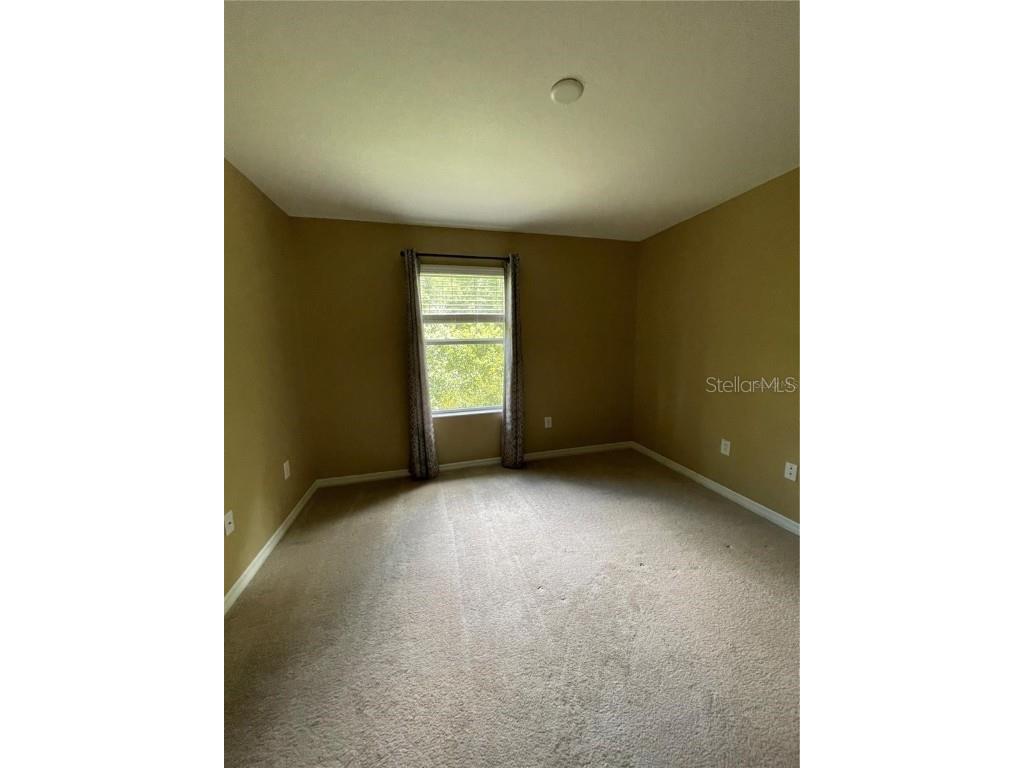 20233 Indian Rosewood Drive Tampa FL 33647 TB8433529 image16