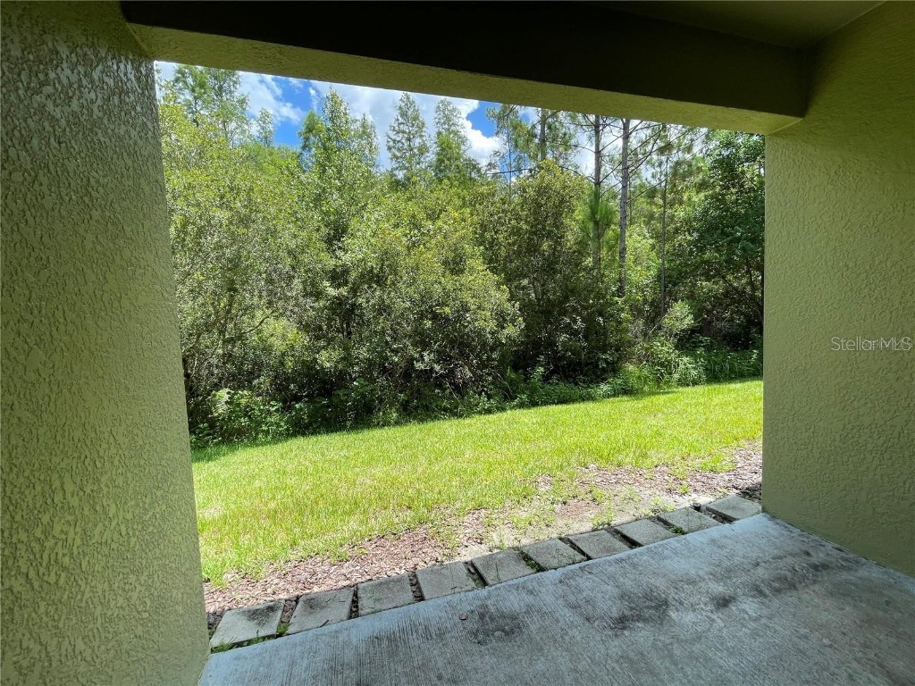 20233 Indian Rosewood Drive Tampa FL 33647 TB8433529 image17