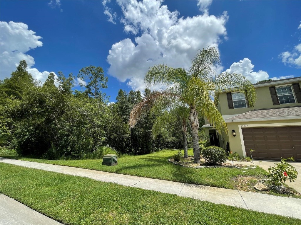 20233 Indian Rosewood Drive Tampa FL 33647 TB8433529 image2