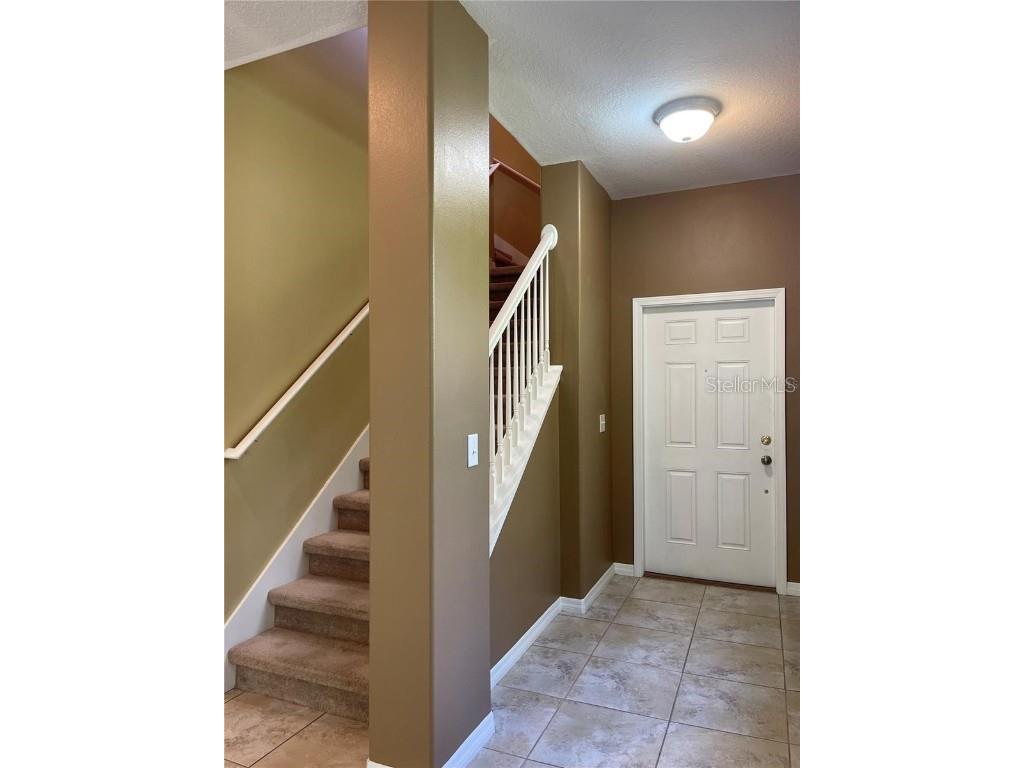 20233 Indian Rosewood Drive Tampa FL 33647 TB8433529 image5